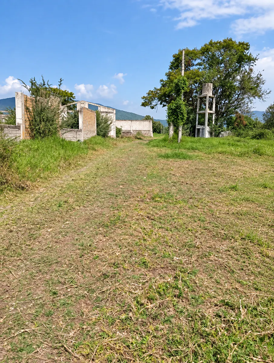Terreno Spot2