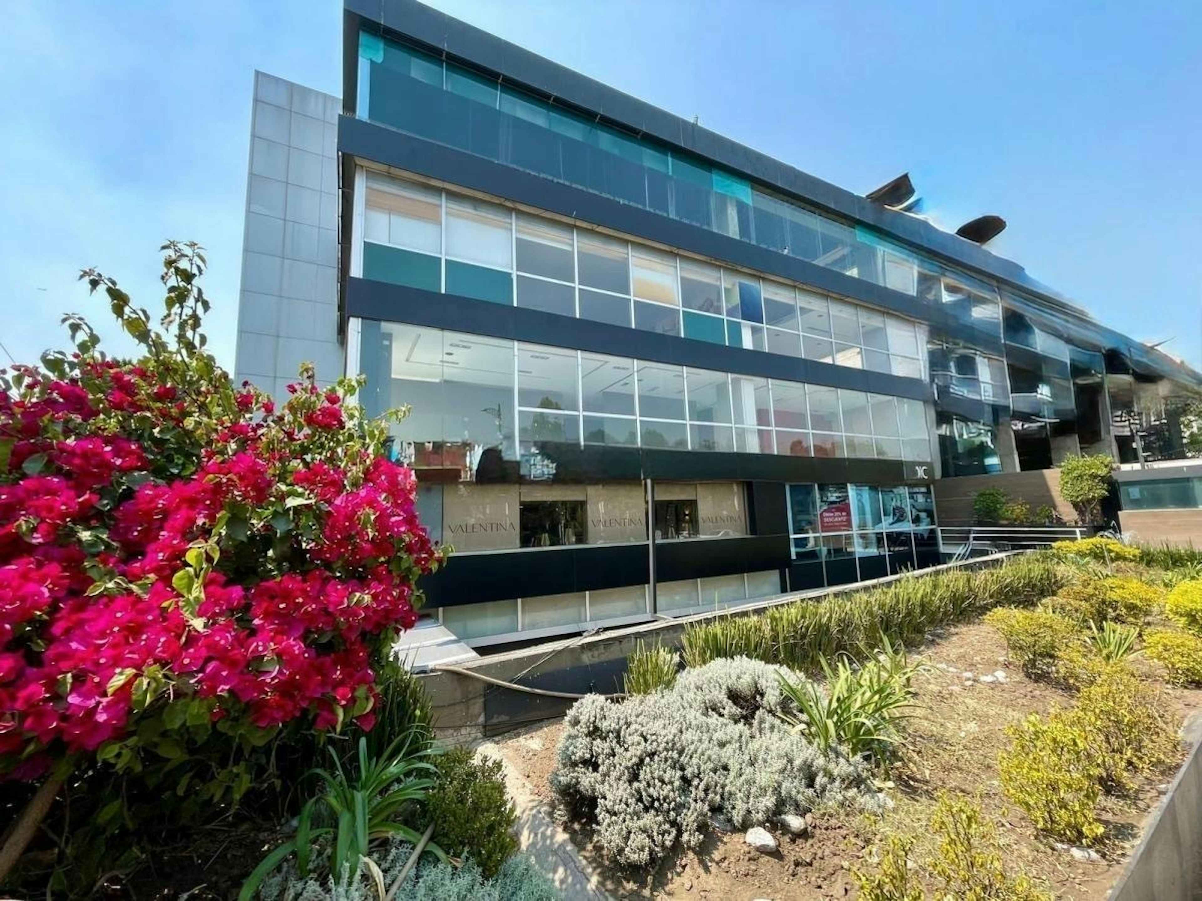 Avenida Paseo De Las Palmas