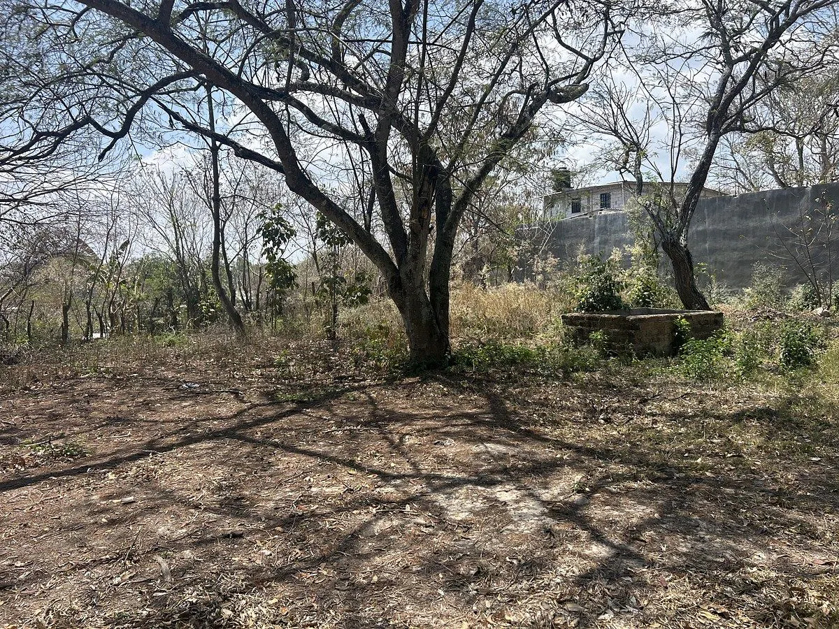 Terreno Spot2