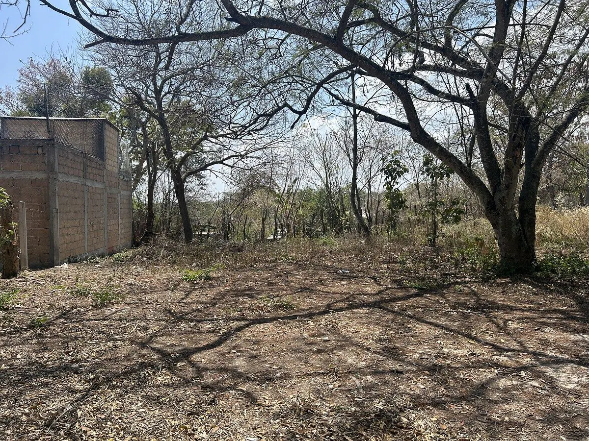 Terreno Spot2