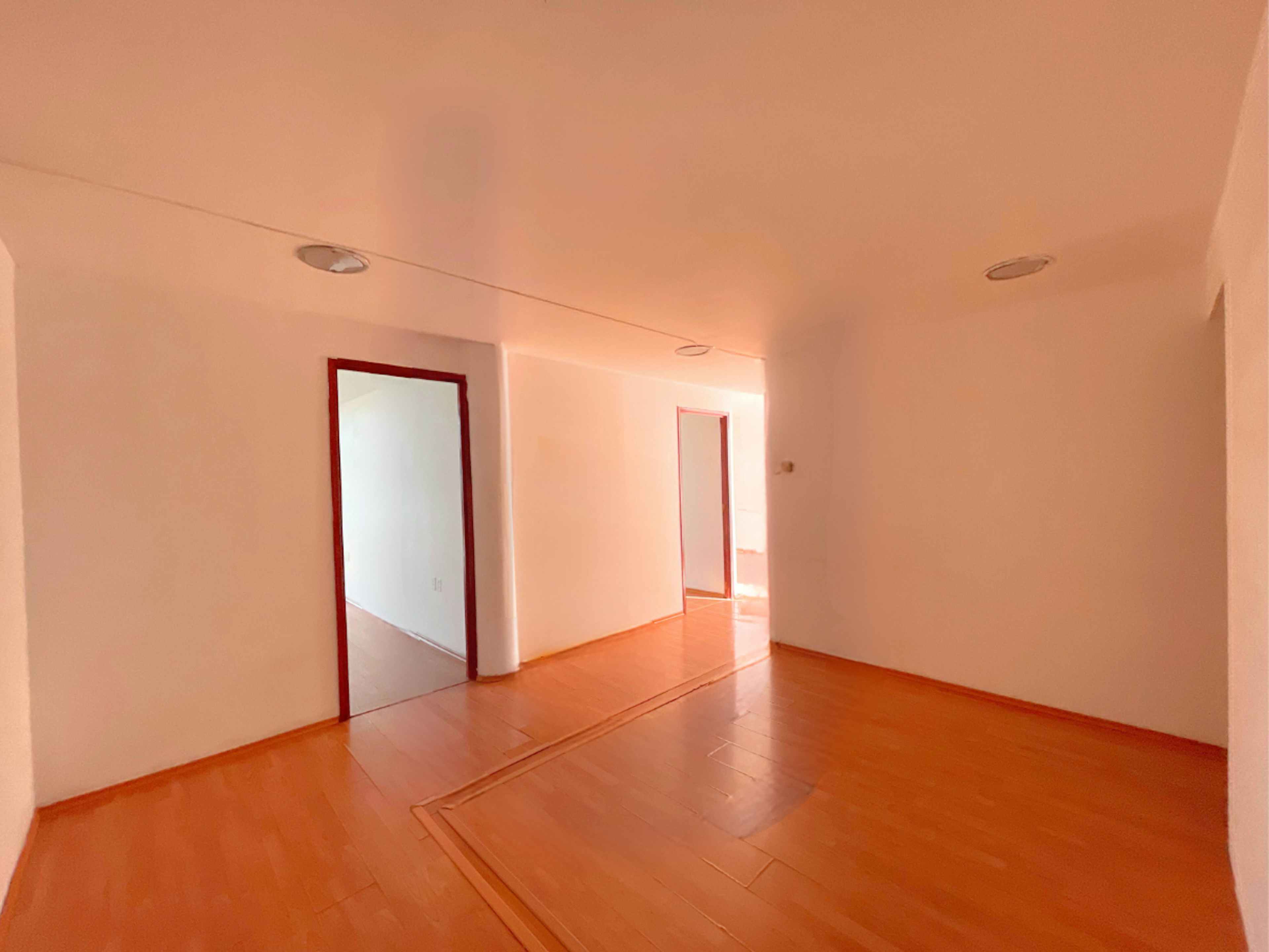 Avenida Insurgentes Sur