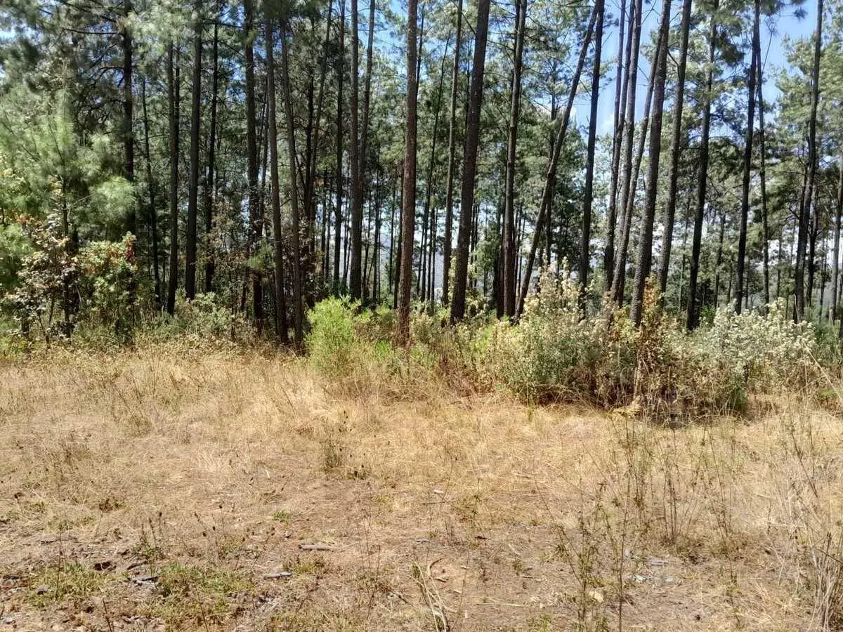 Terreno Spot2