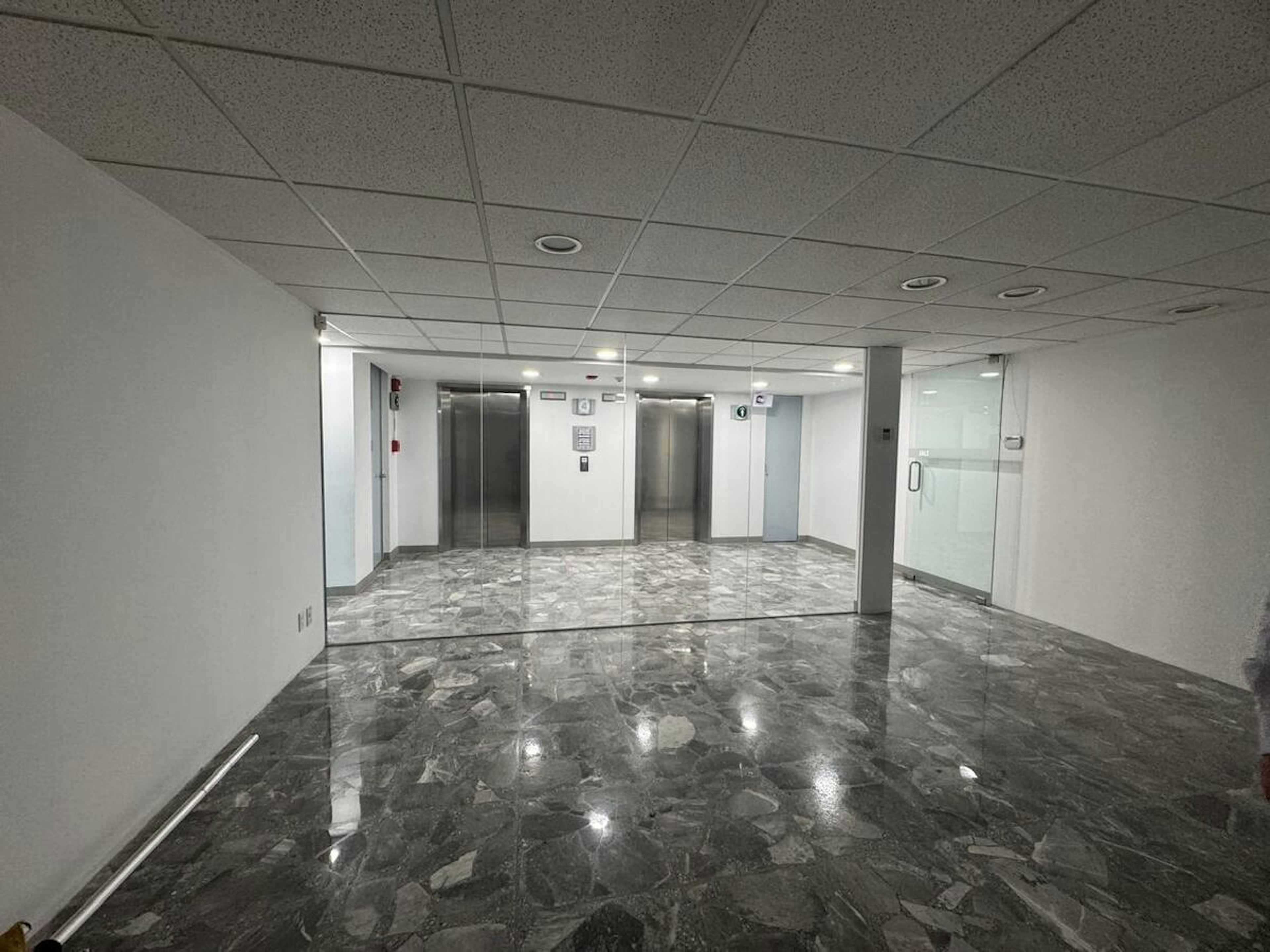 Avenida Insurgentes Sur