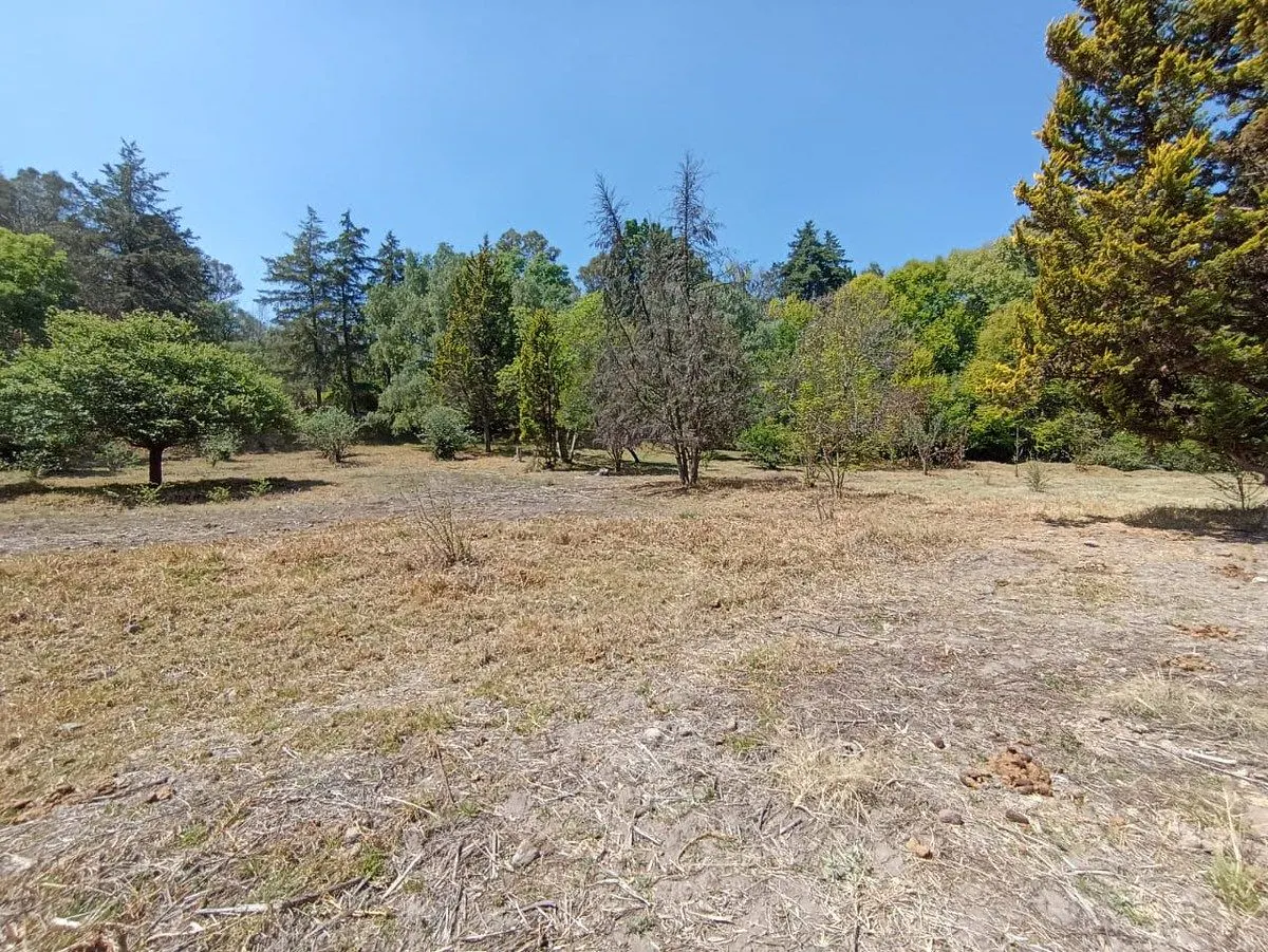 Terreno Spot2