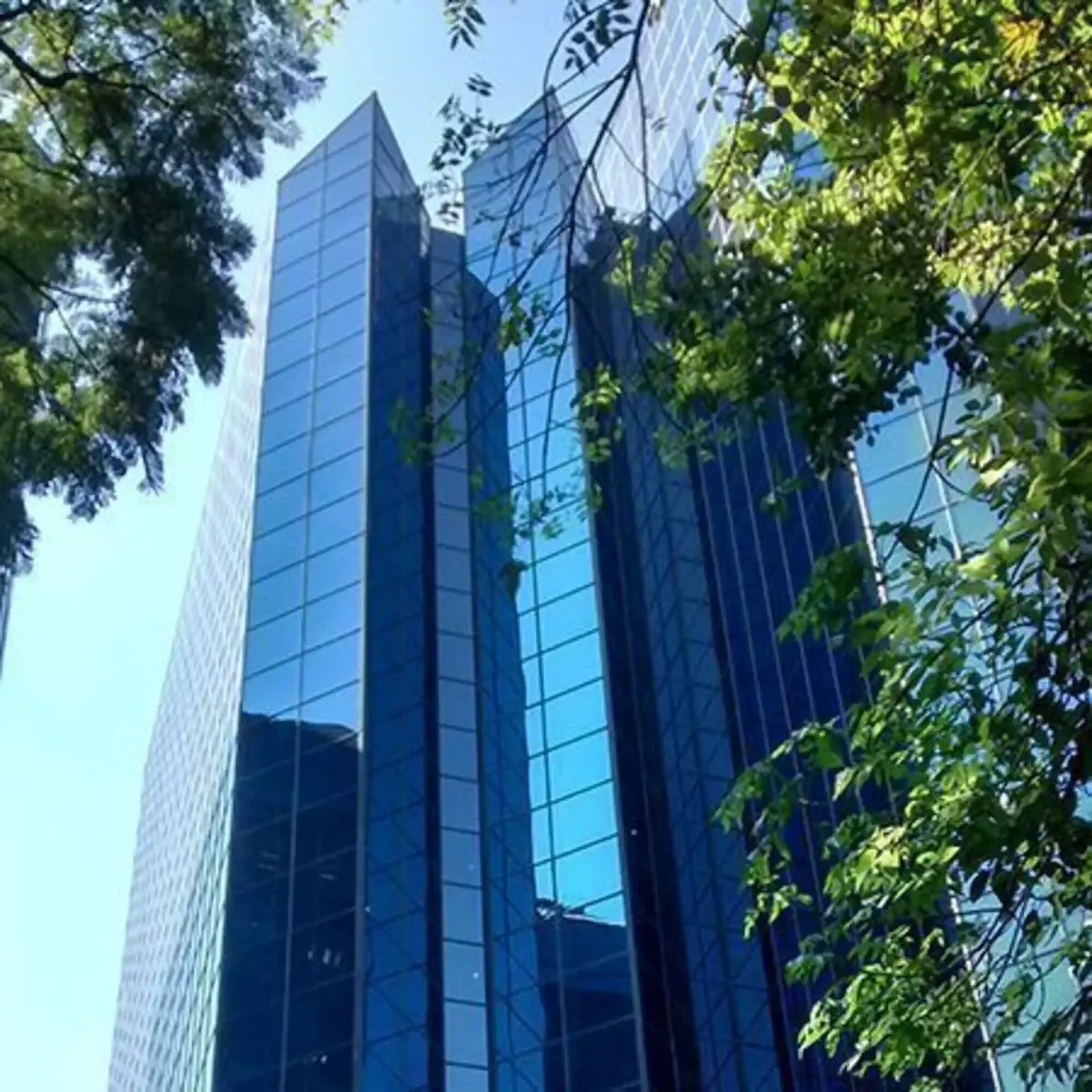 Avenida Insurgentes Sur