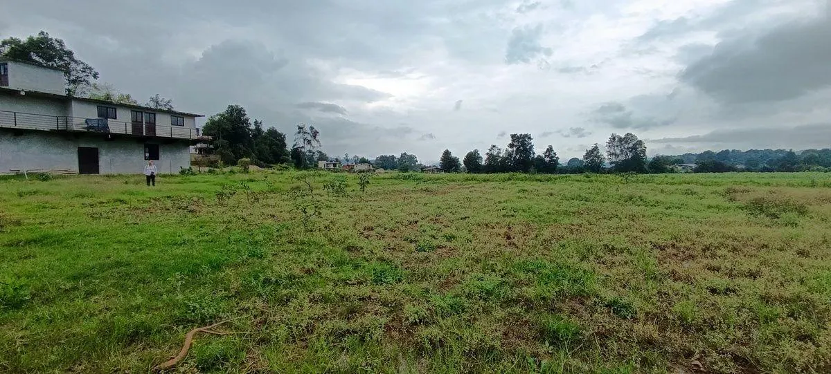 Terreno Spot2