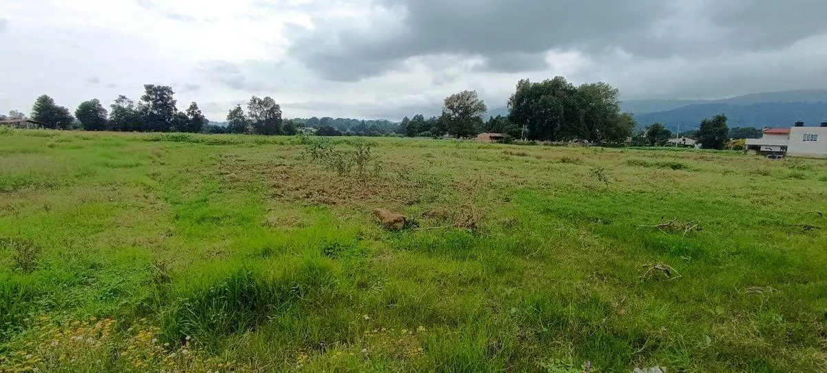 Terreno Spot2