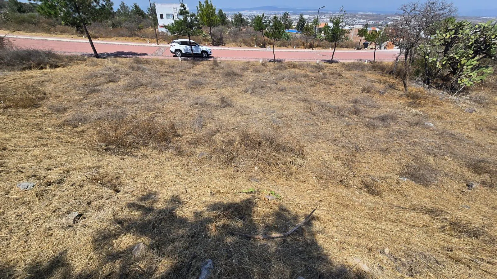 Terreno Spot2