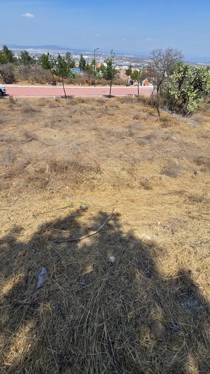 Terreno Spot2