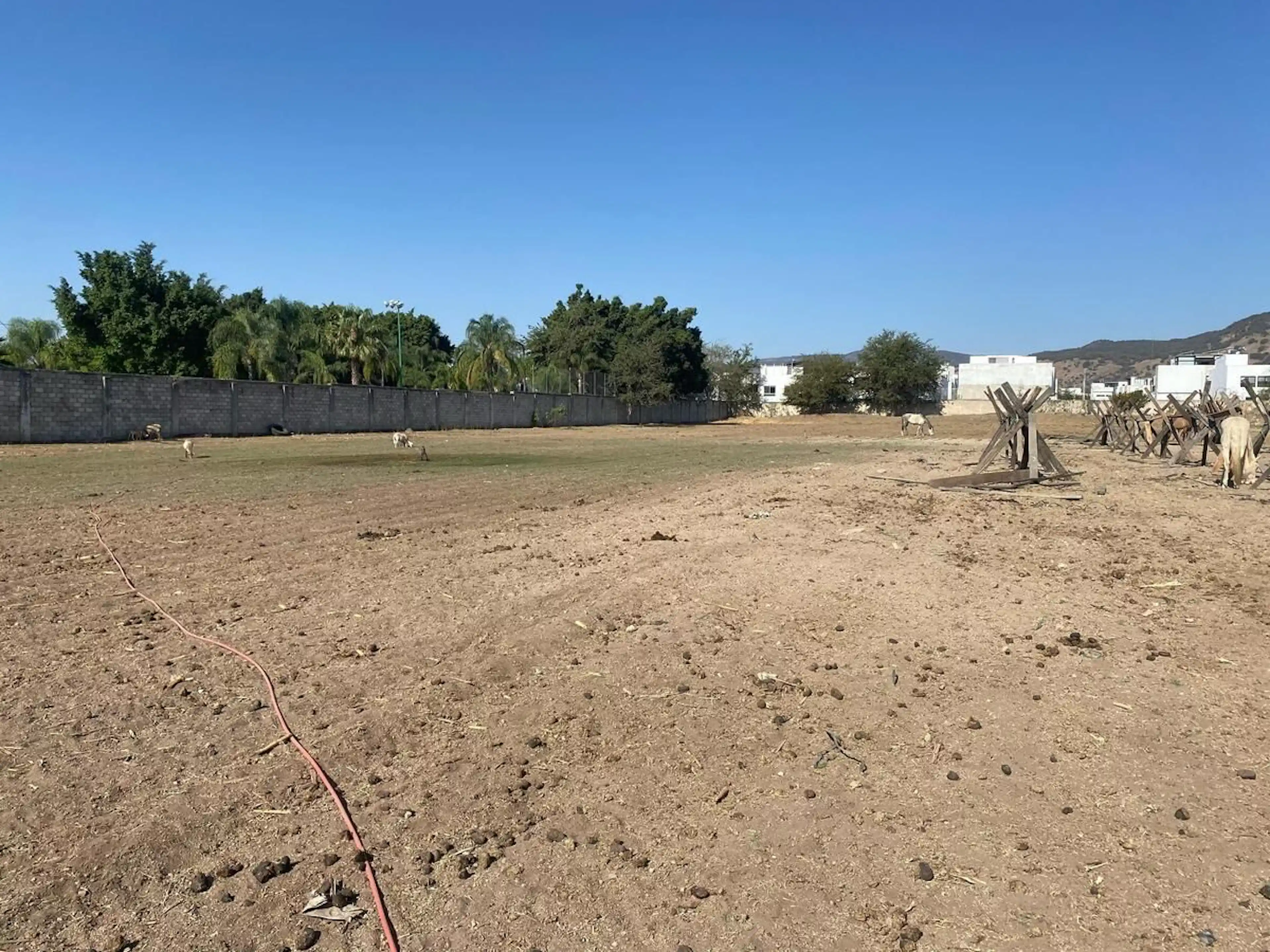 TERRENO EN RENTA SOBRE AVENIDA – CAMINO REAL A COLIMA