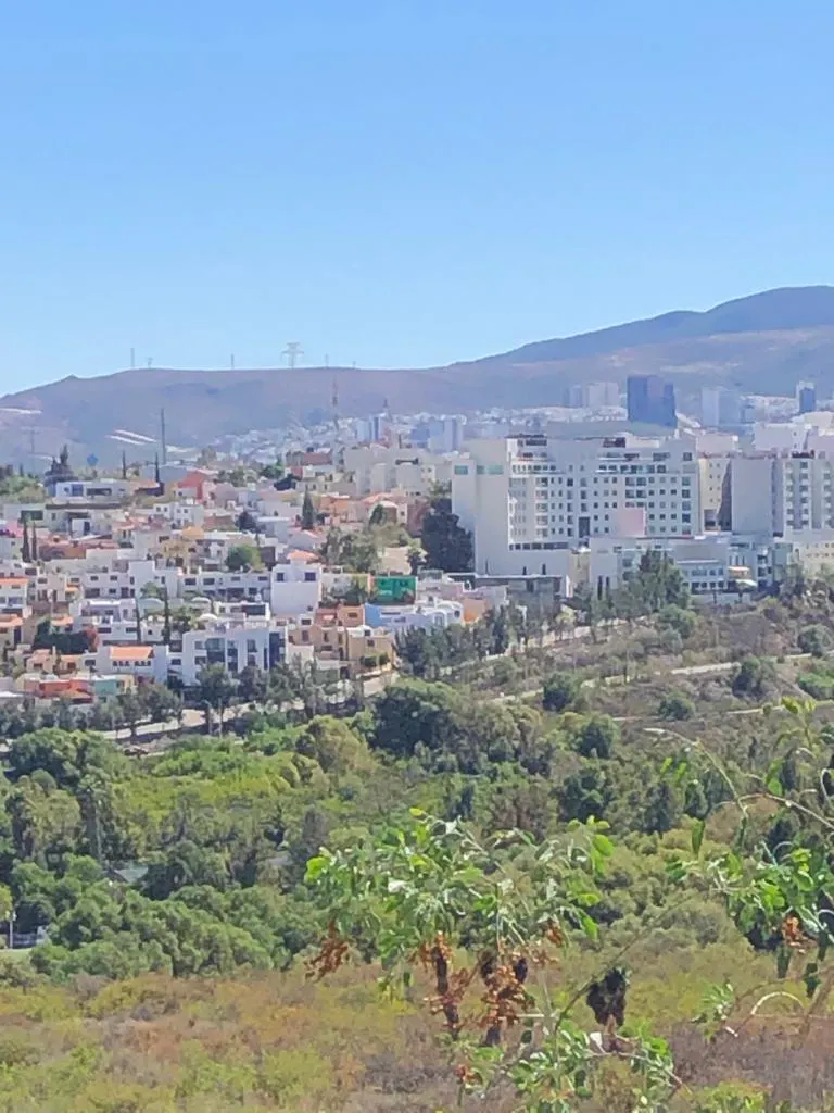 Terreno Spot2