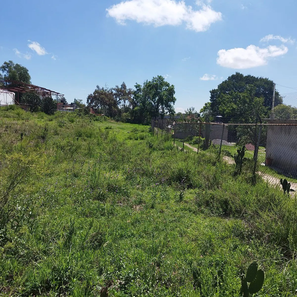 Terreno Spot2