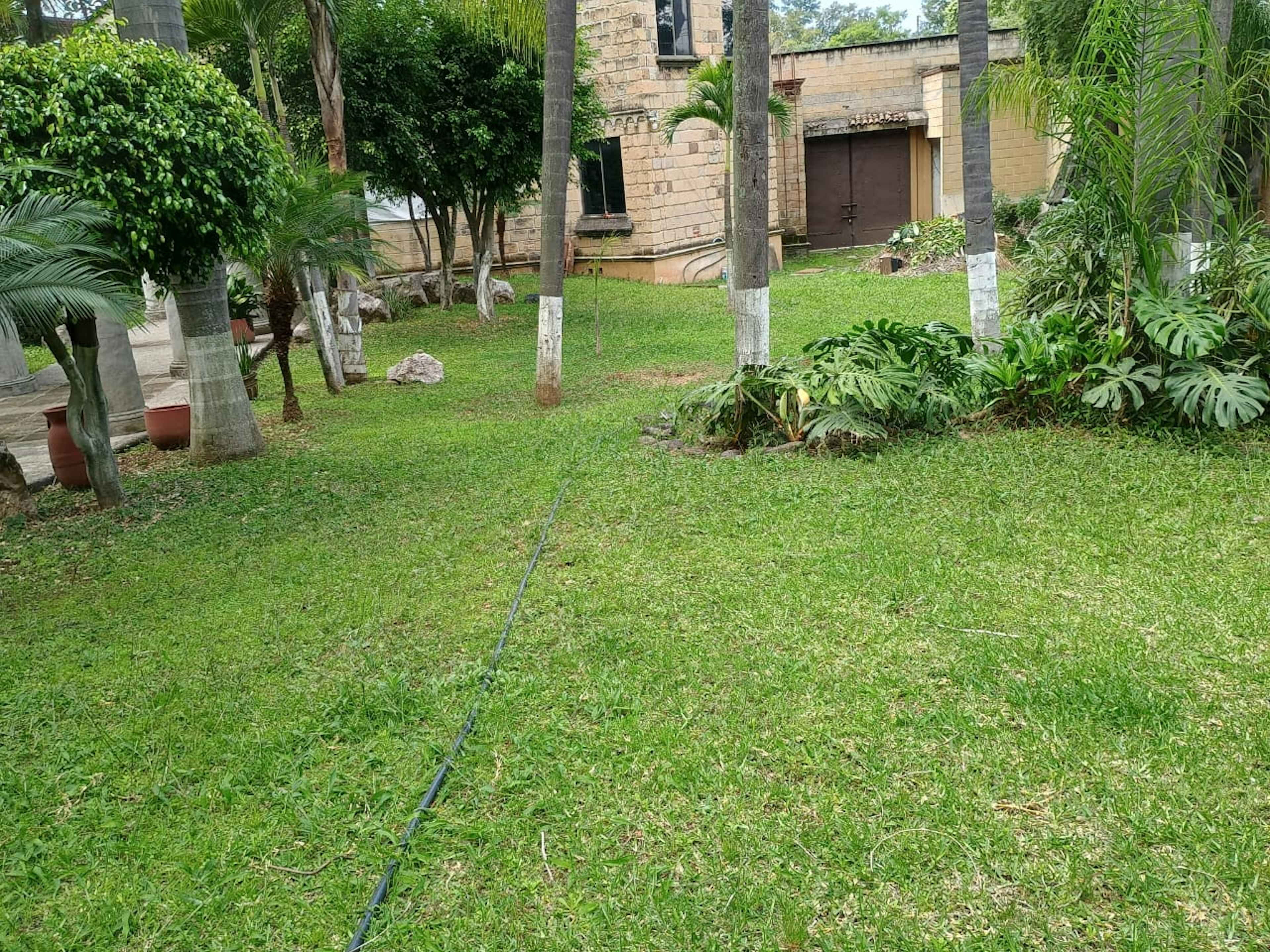 Calzada De Los Reyes 15