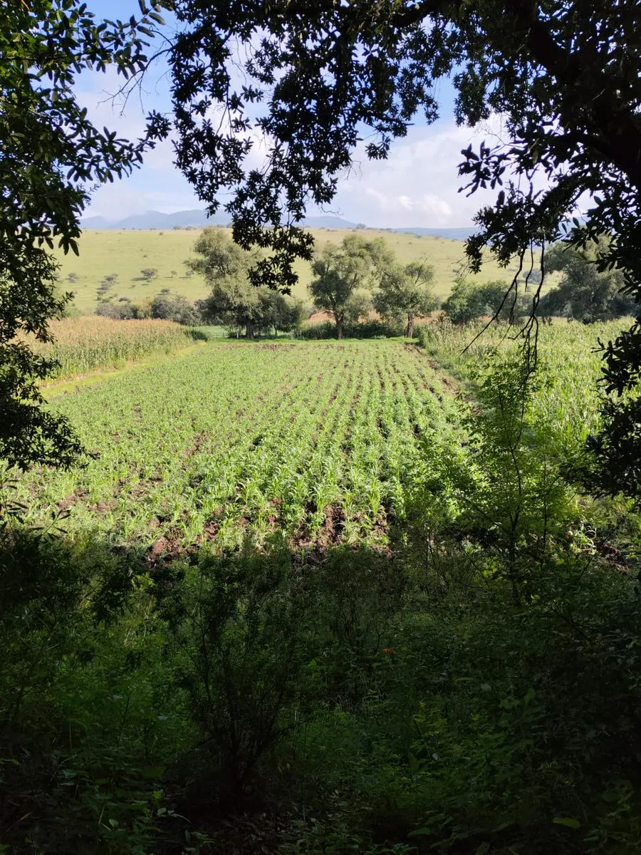 Terreno Spot2