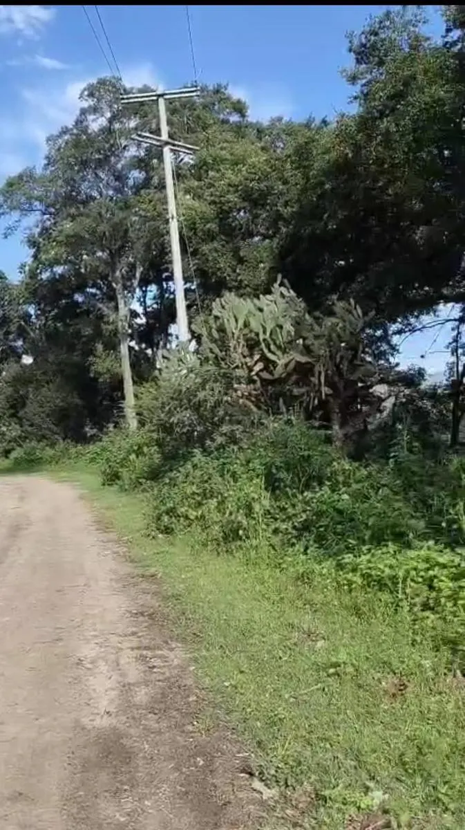 Terreno Spot2