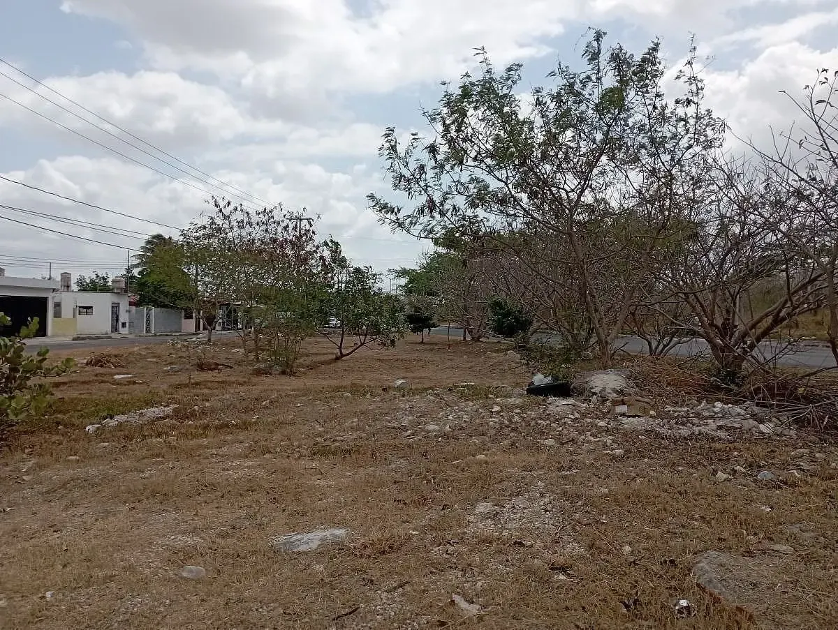 Terreno Spot2