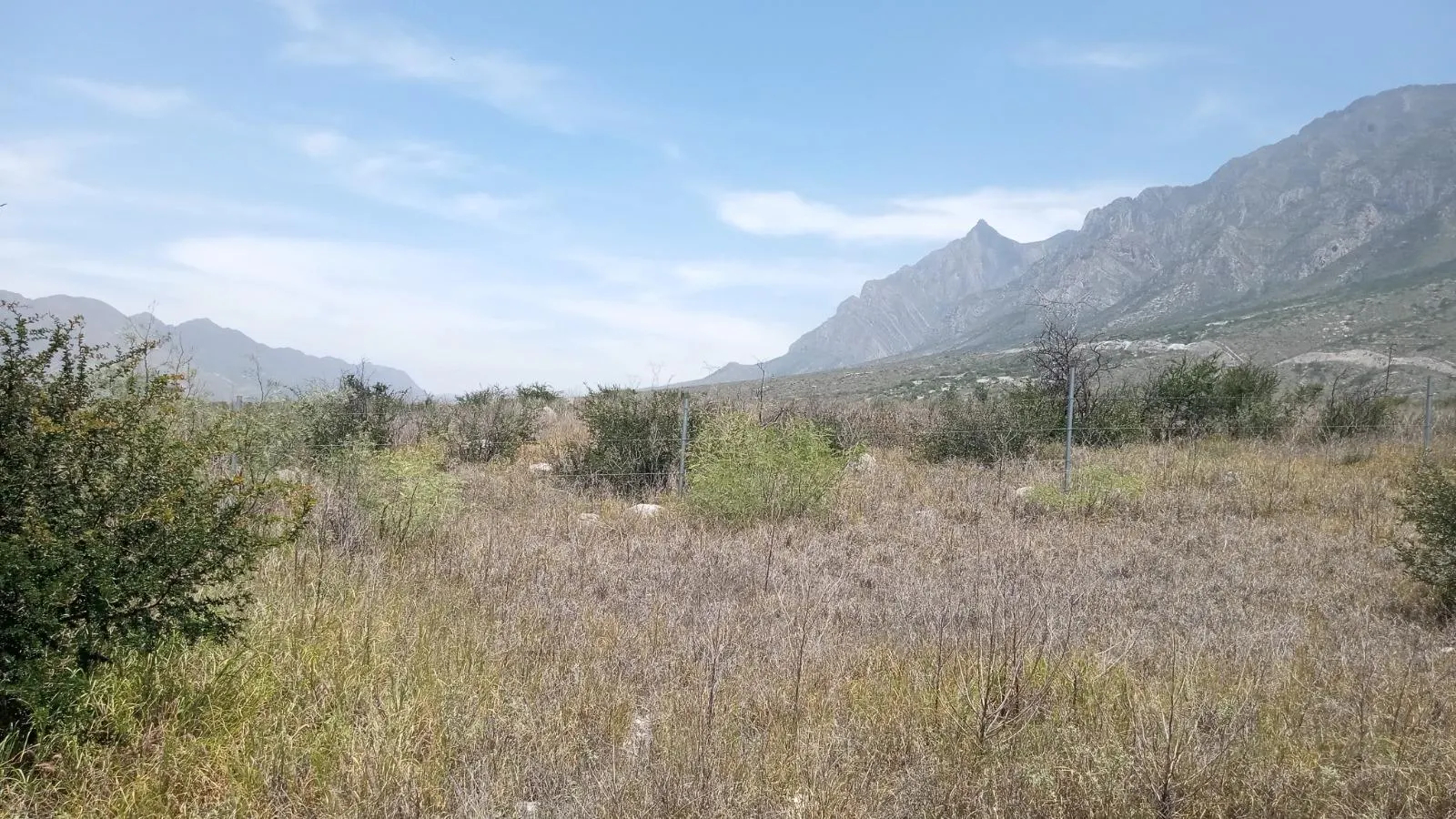 Terreno Spot2