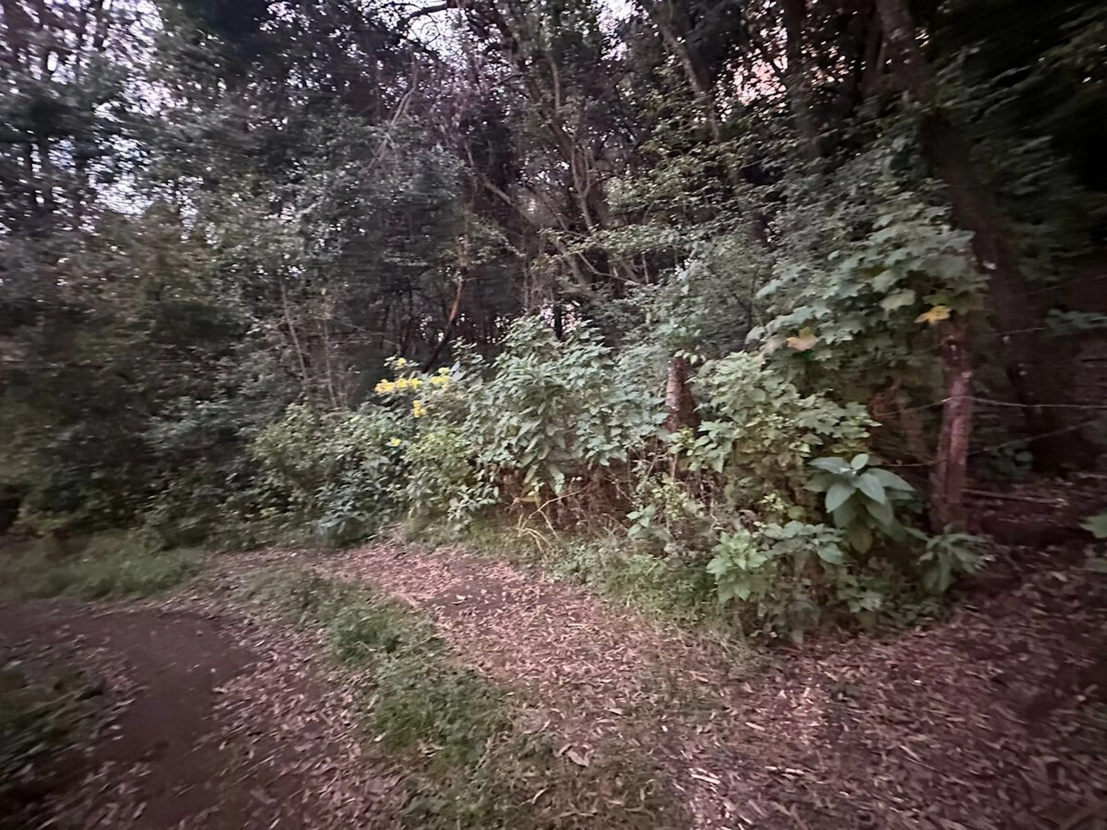 TERRENO EN VENTA EN JILOTZINGO SANTA MARIA MAZATLA EDOMEX
