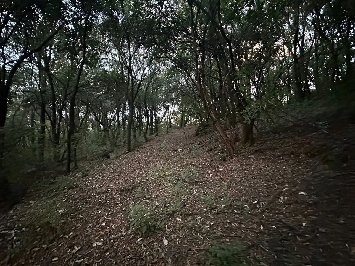 Terreno Spot2