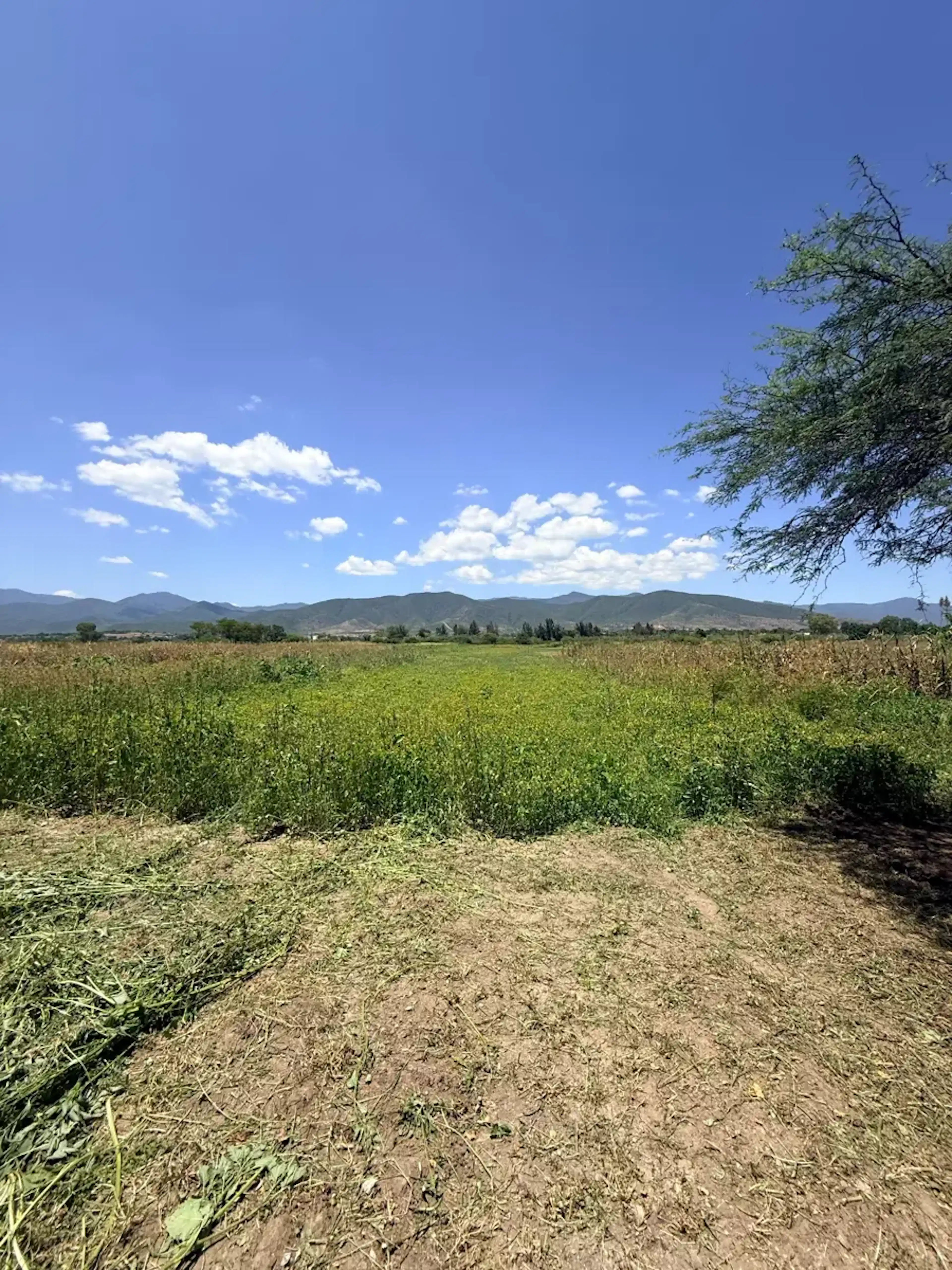 Terreno en venta en Rojas de Cuauhtemoc, Rojas de Cuauhtémoc, Oaxaca