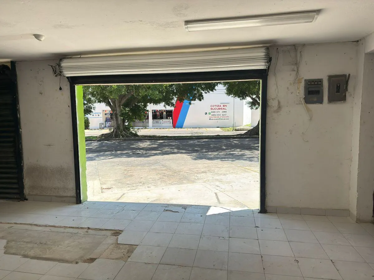 Local Comercial Spot2