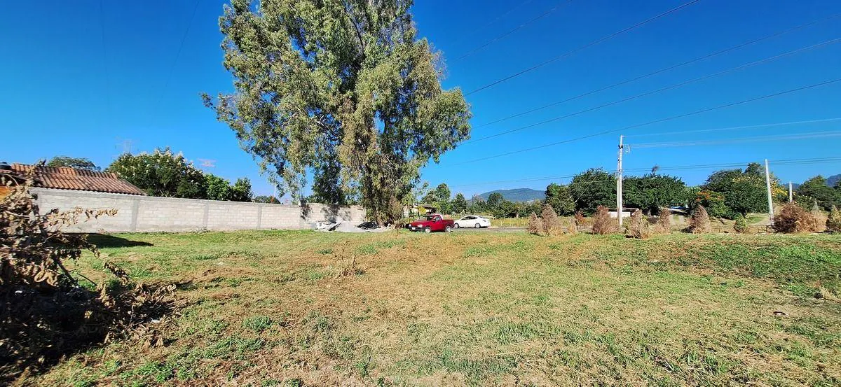 Terreno Spot2