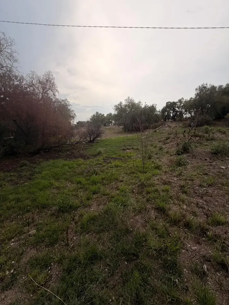 Terreno Spot2