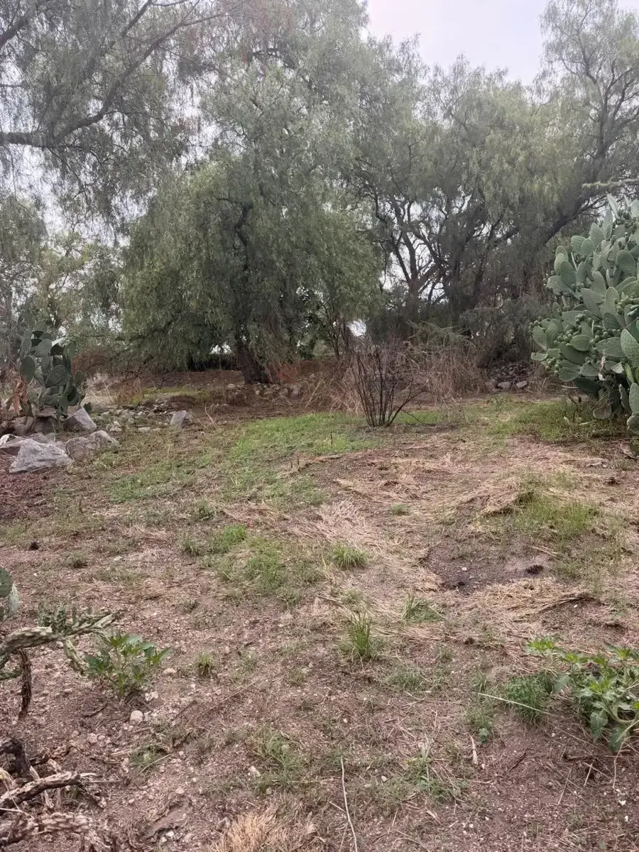 Terreno Spot2