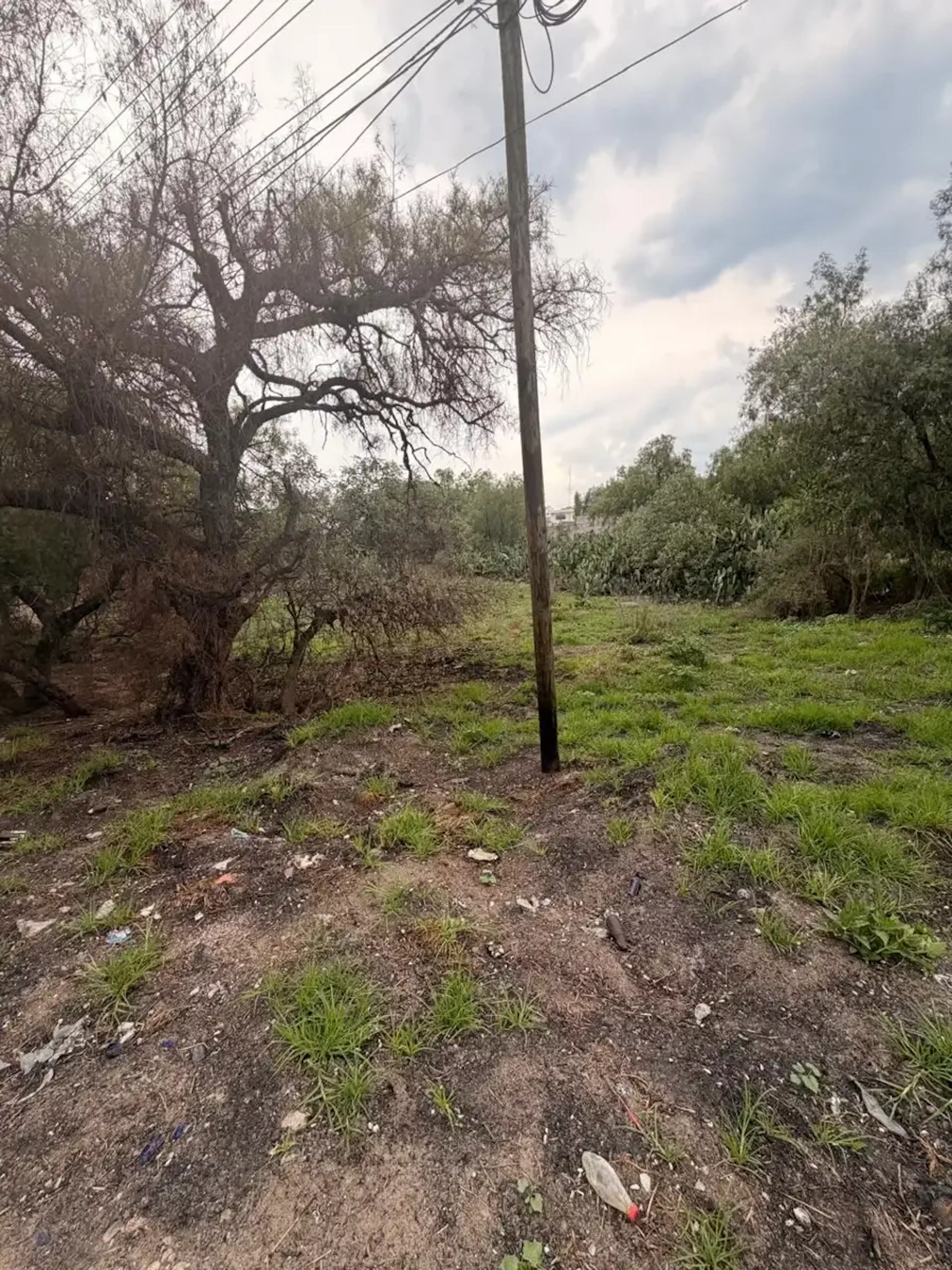 Terreno En Venta En Apaxco De Ocampo Centro, Apaxco, México