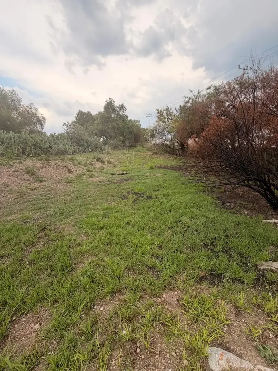 Terreno Spot2