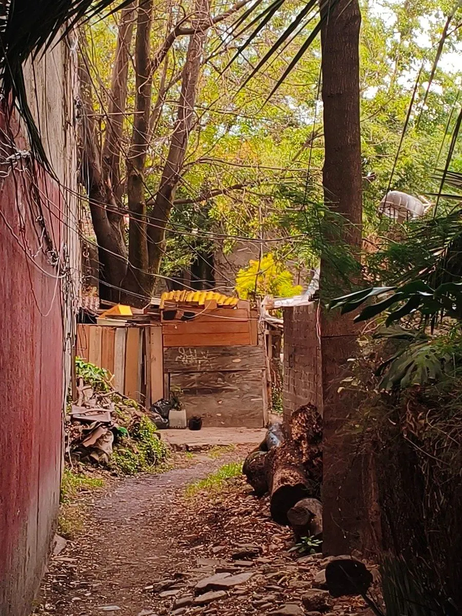 Terreno Spot2