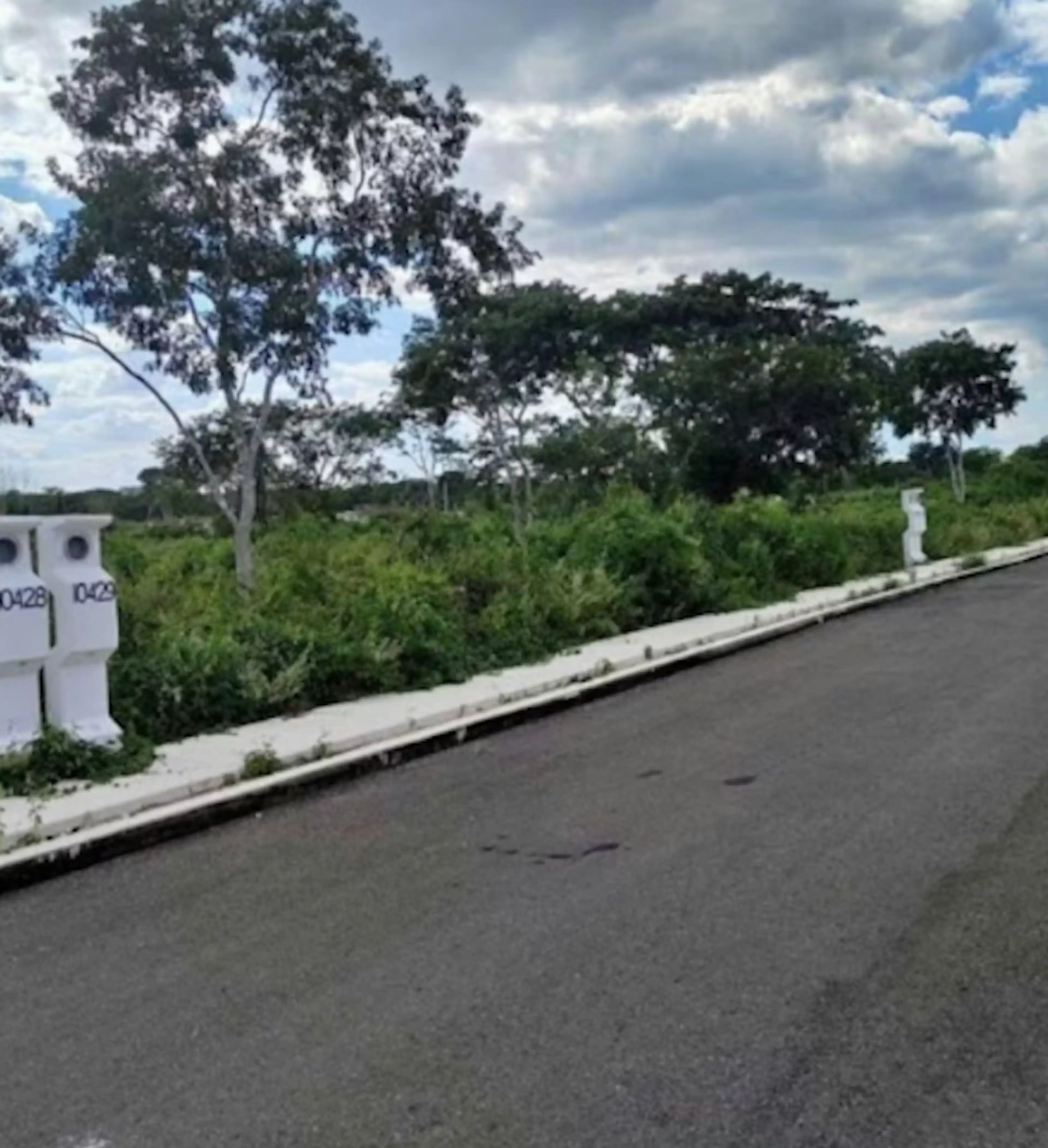 Etapa 3 Lote 381
