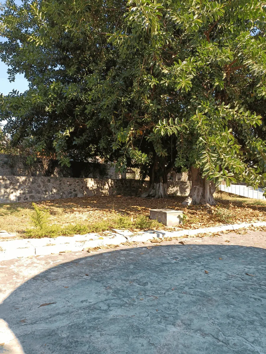 Terreno Spot2