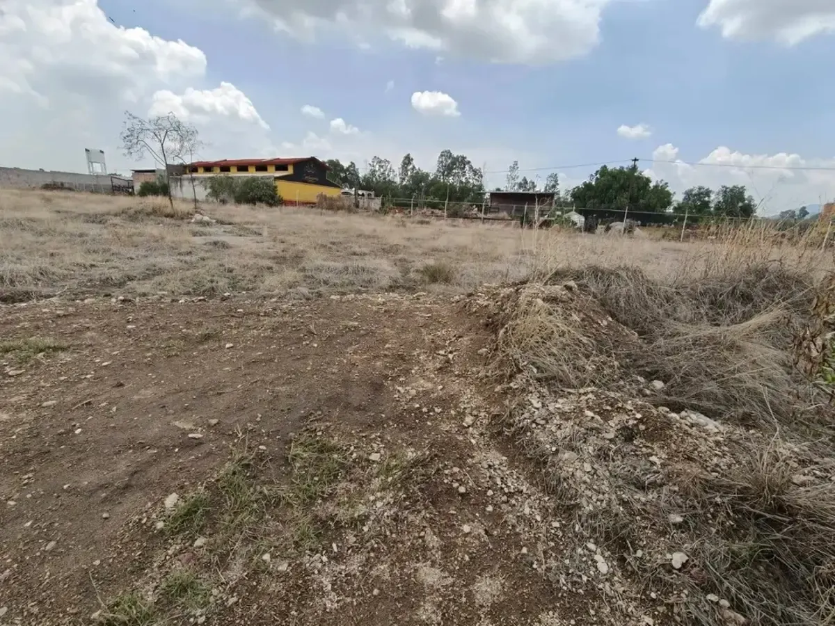 Terreno Spot2