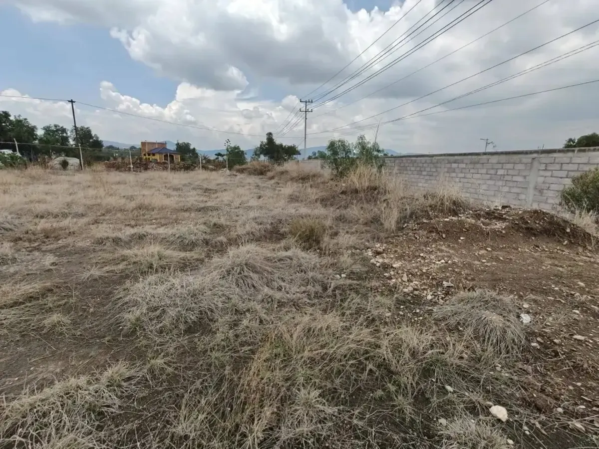 Terreno Spot2