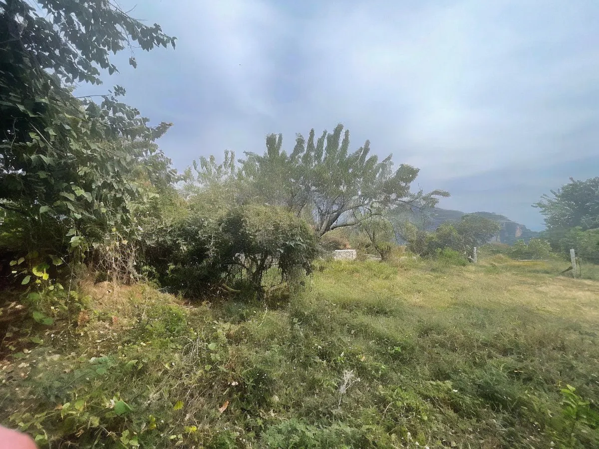 Terreno Spot2