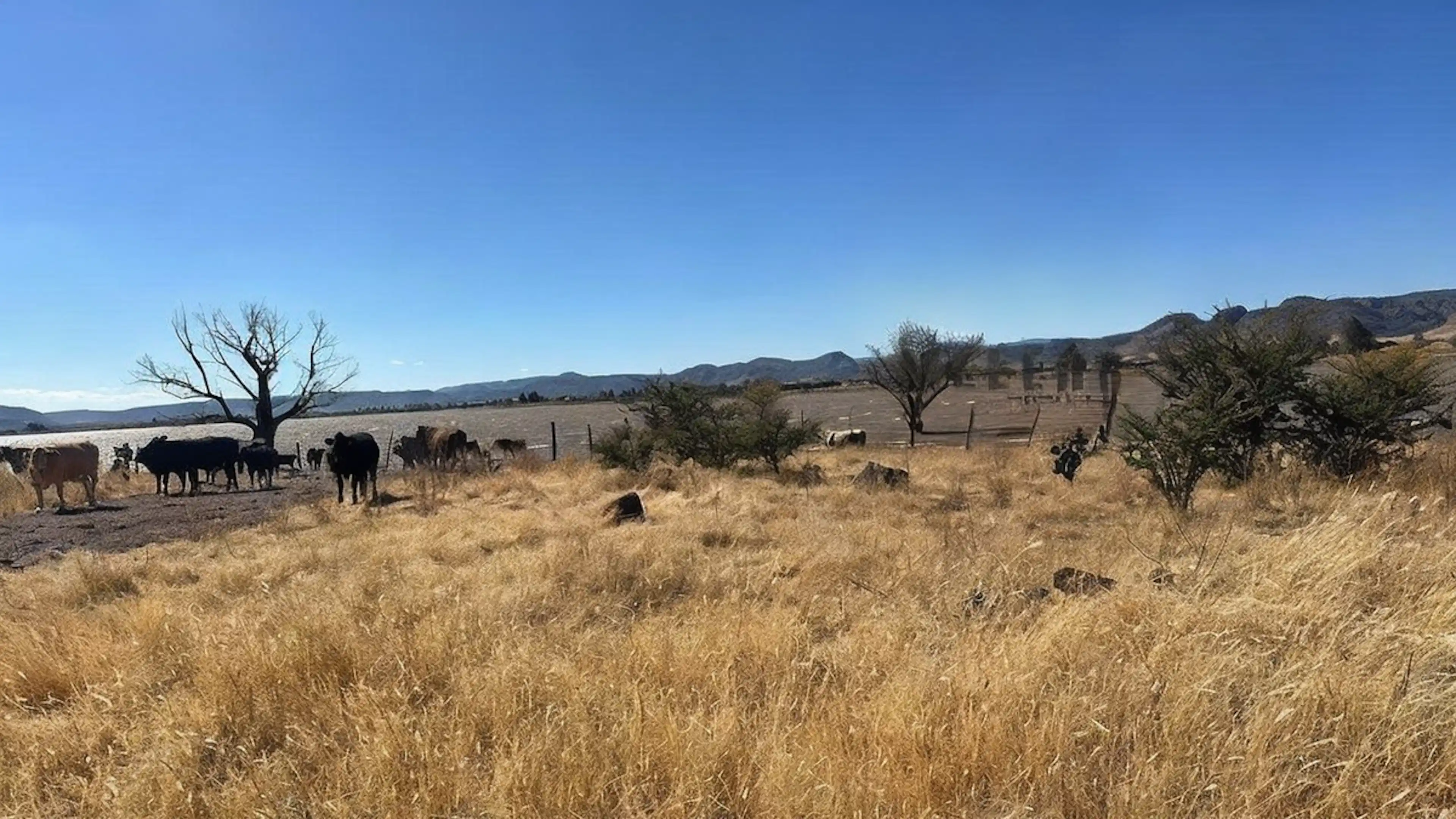 Terreno En Venta En Fracc. Nuevo Horizonte