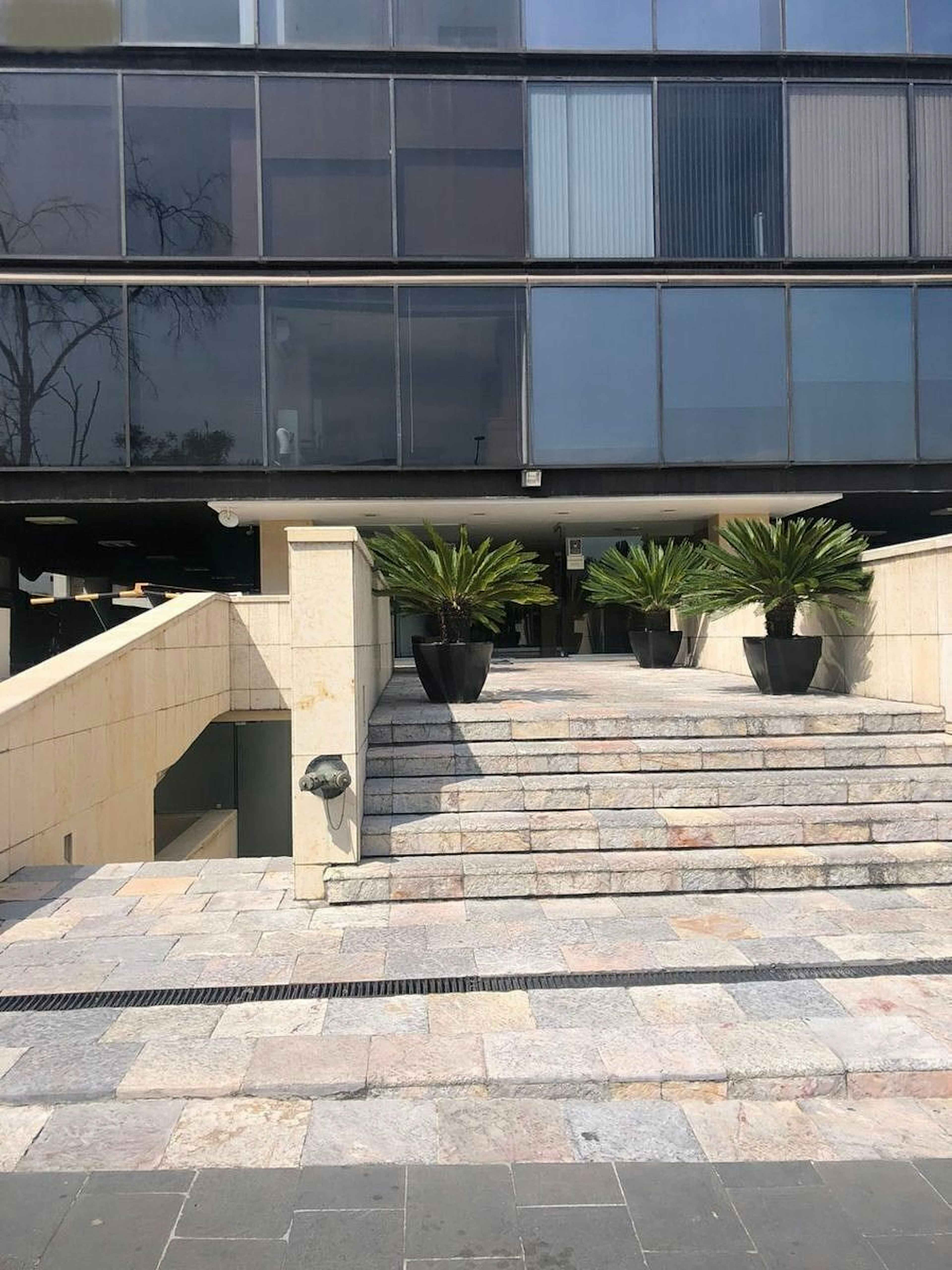 Bosque De Los Ciruelos