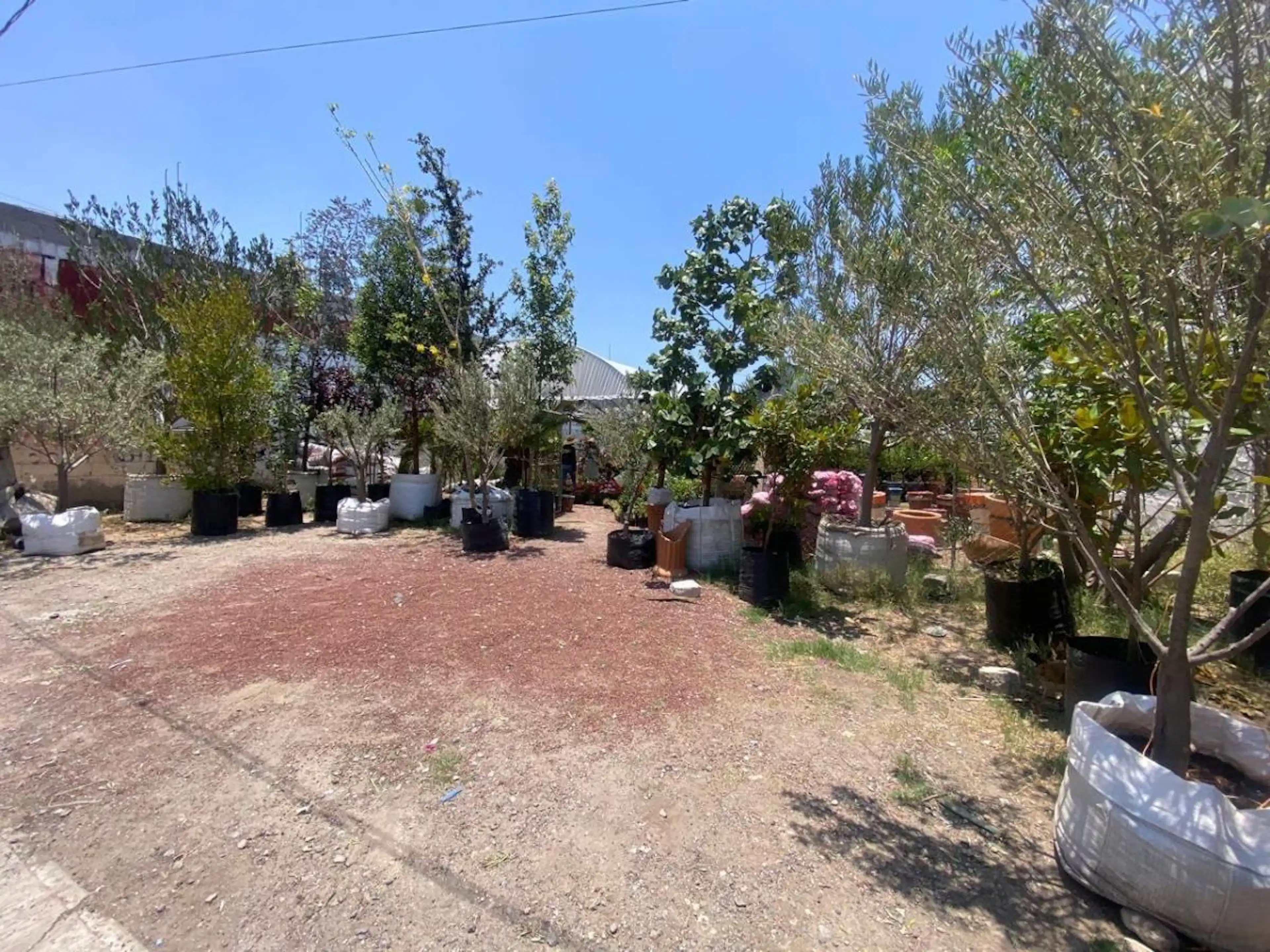 Terreno En Venta En Granjas Banthi, San Juan Del Río, Querétaro