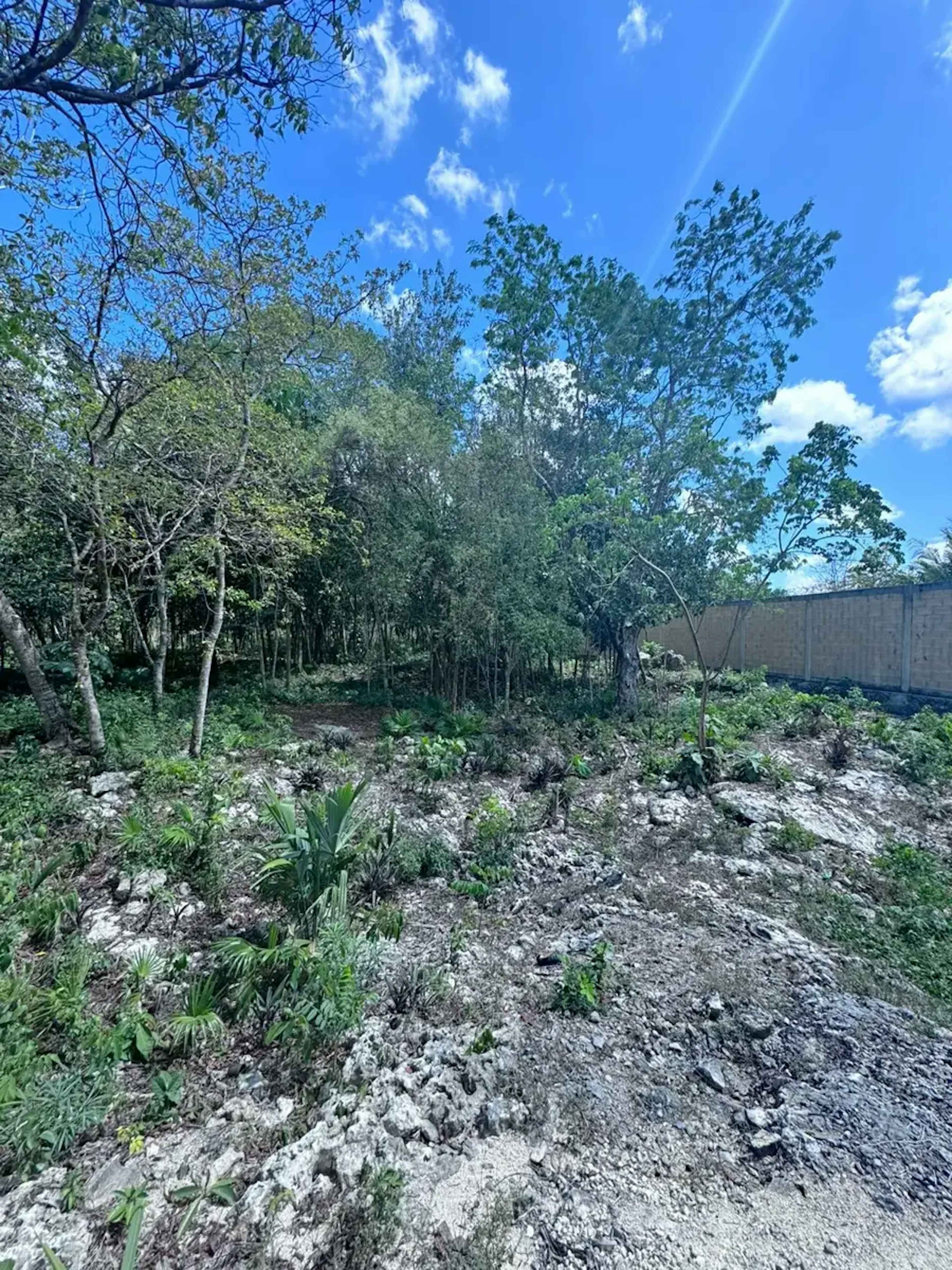 Terreno En Venta Y Renta En Supermanzana 55, Benito Juárez, Quintana Roo