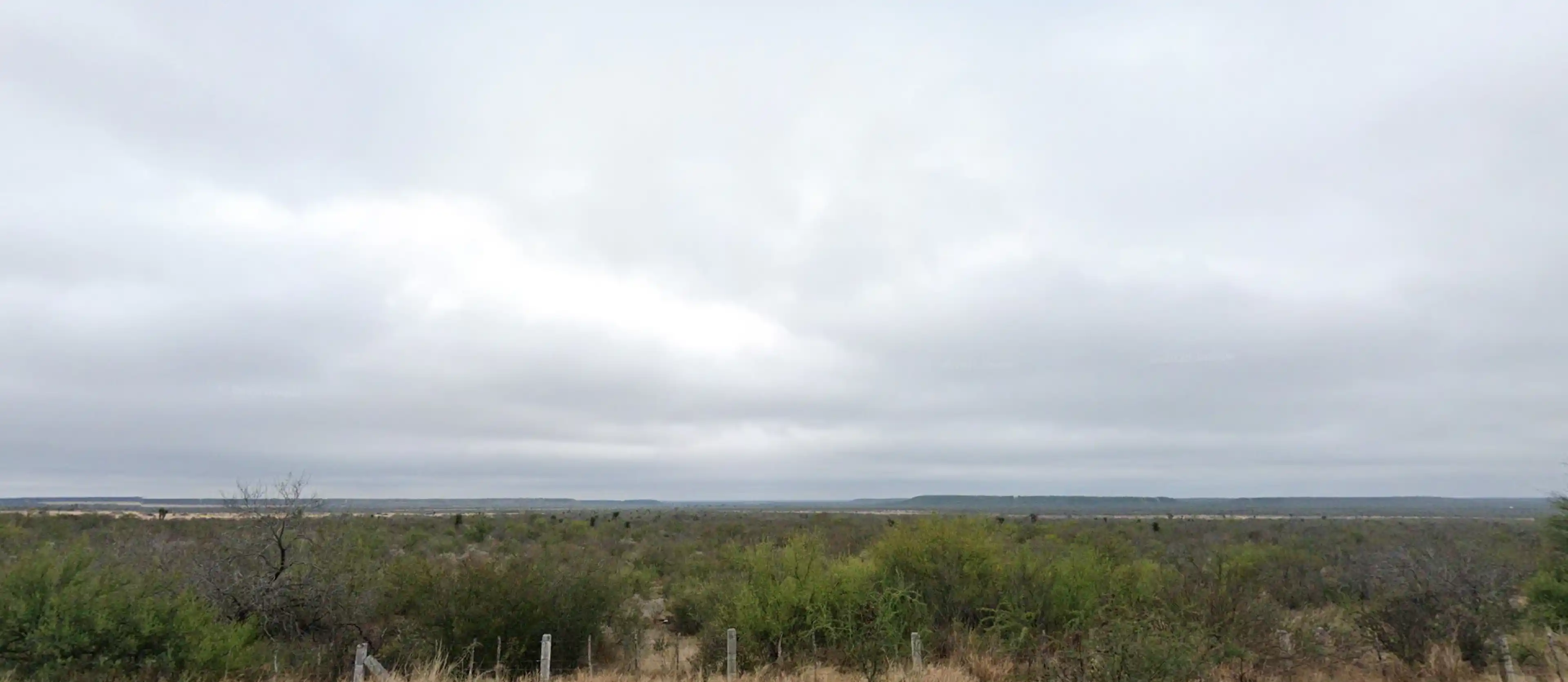 Lote 44