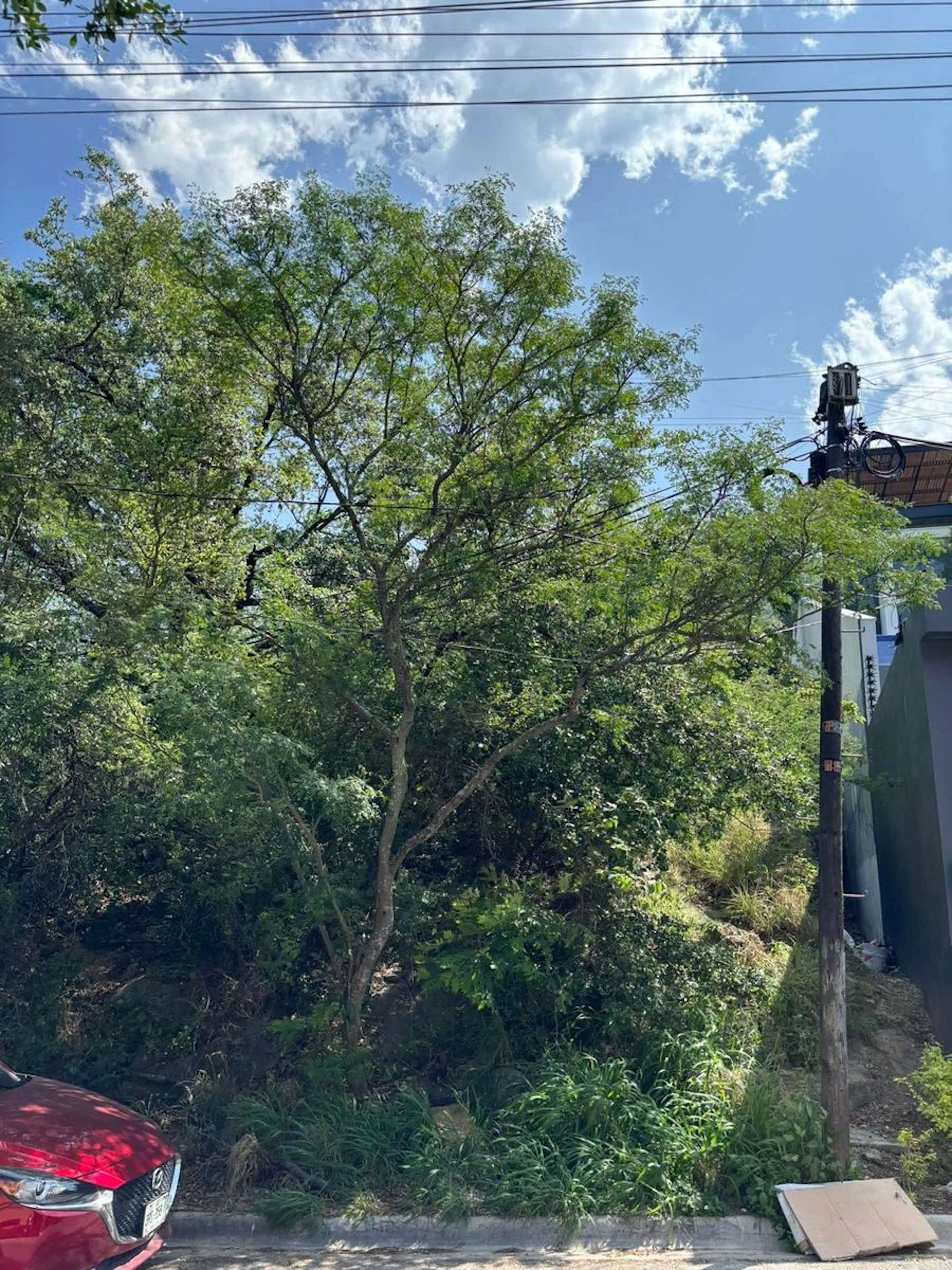 TERRENO EN VENTA COL. SIERRA DEL VALLE , SAN PEDRO