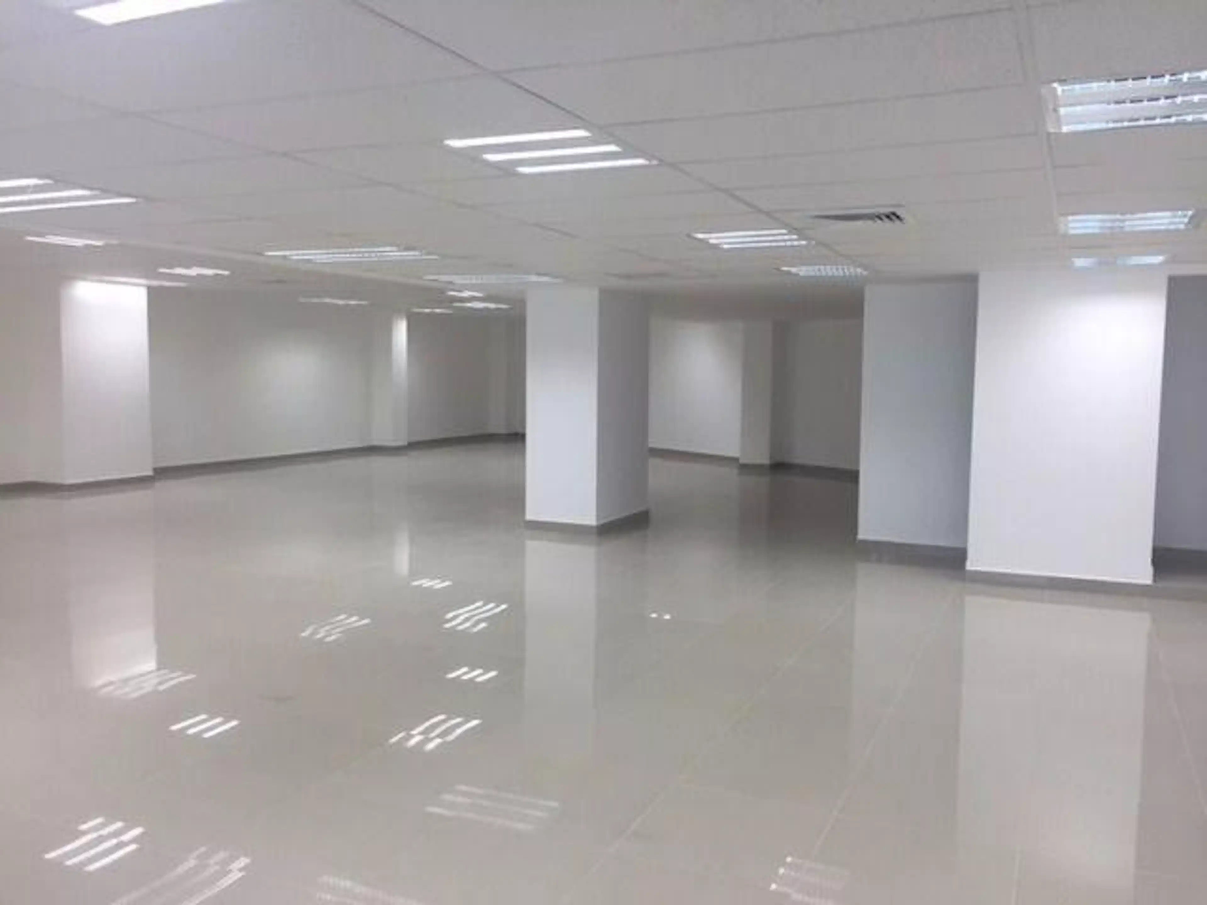 Avenida Insurgentes Sur