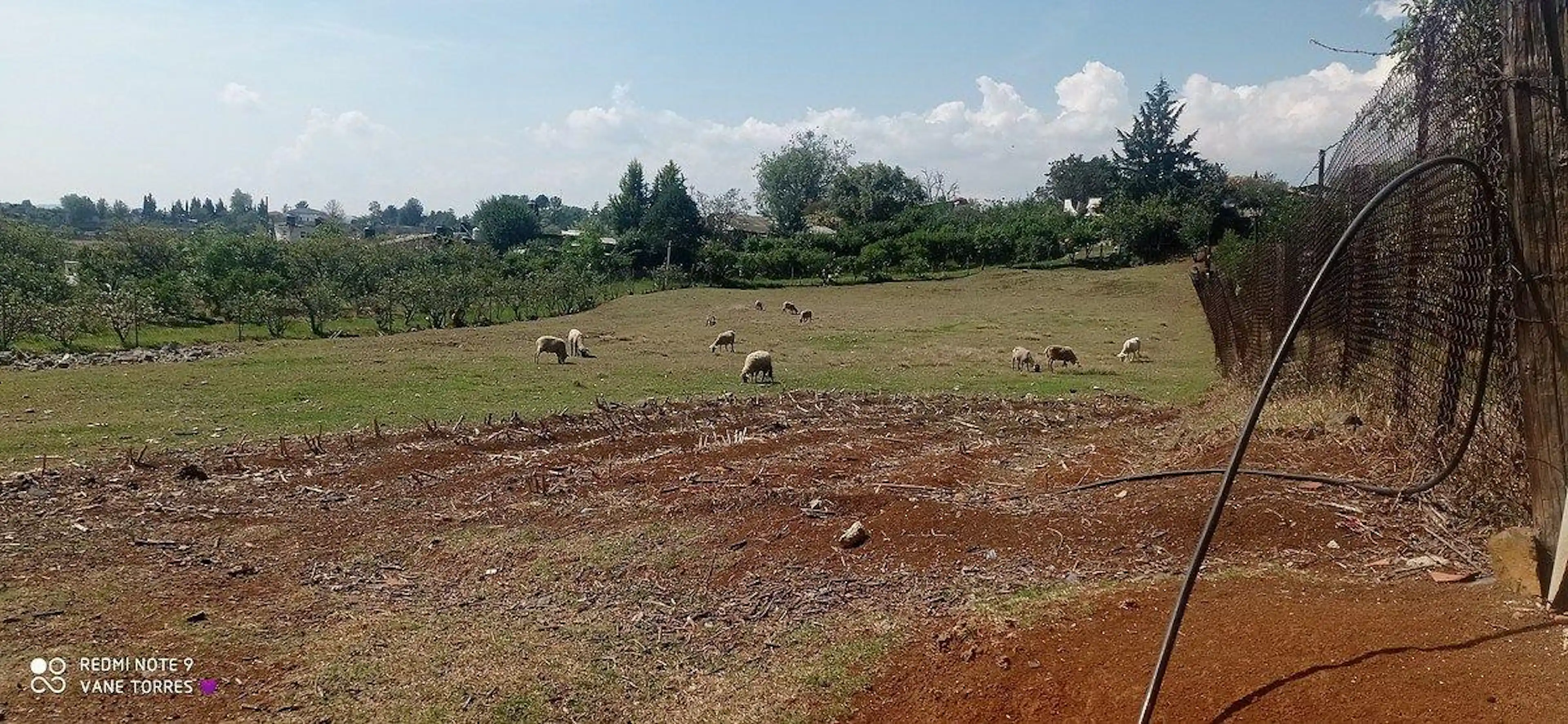 VENTA DE TERRENO EN LOS DOMÍNGUEZ VILLA DEL CARBÓN