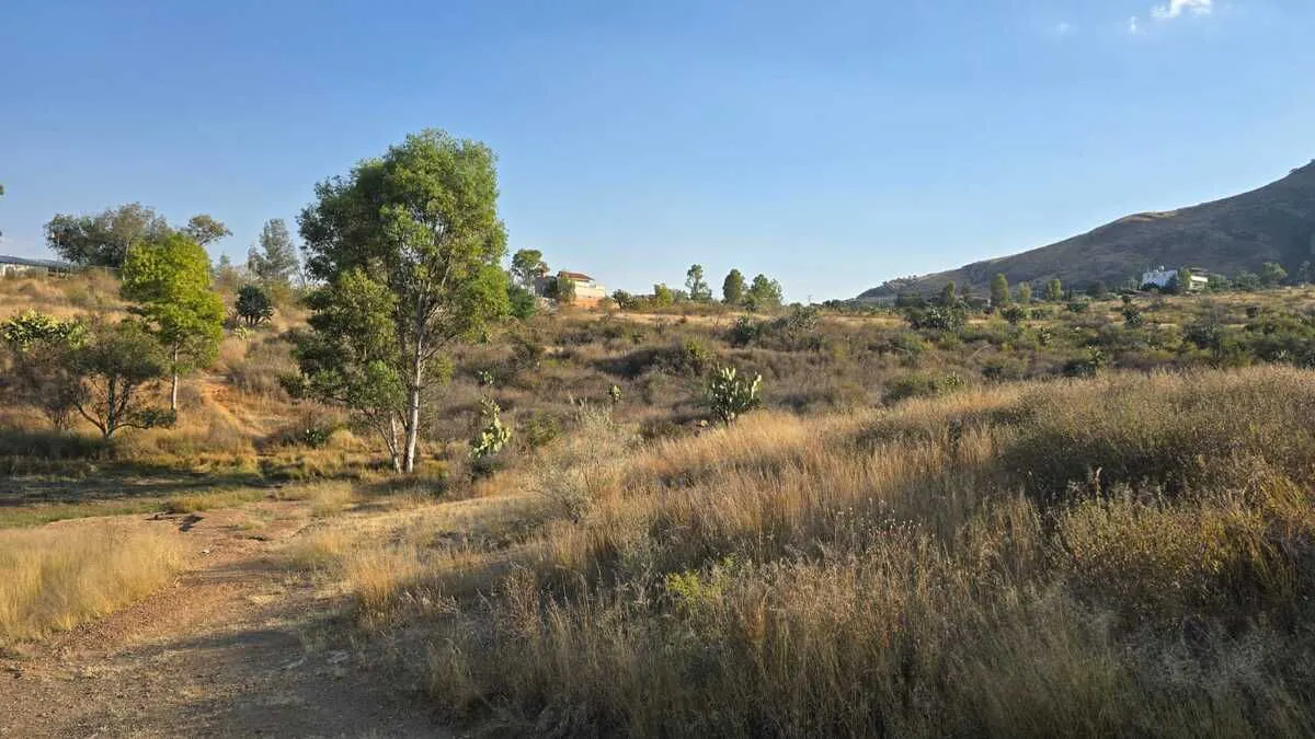 Terreno Spot2