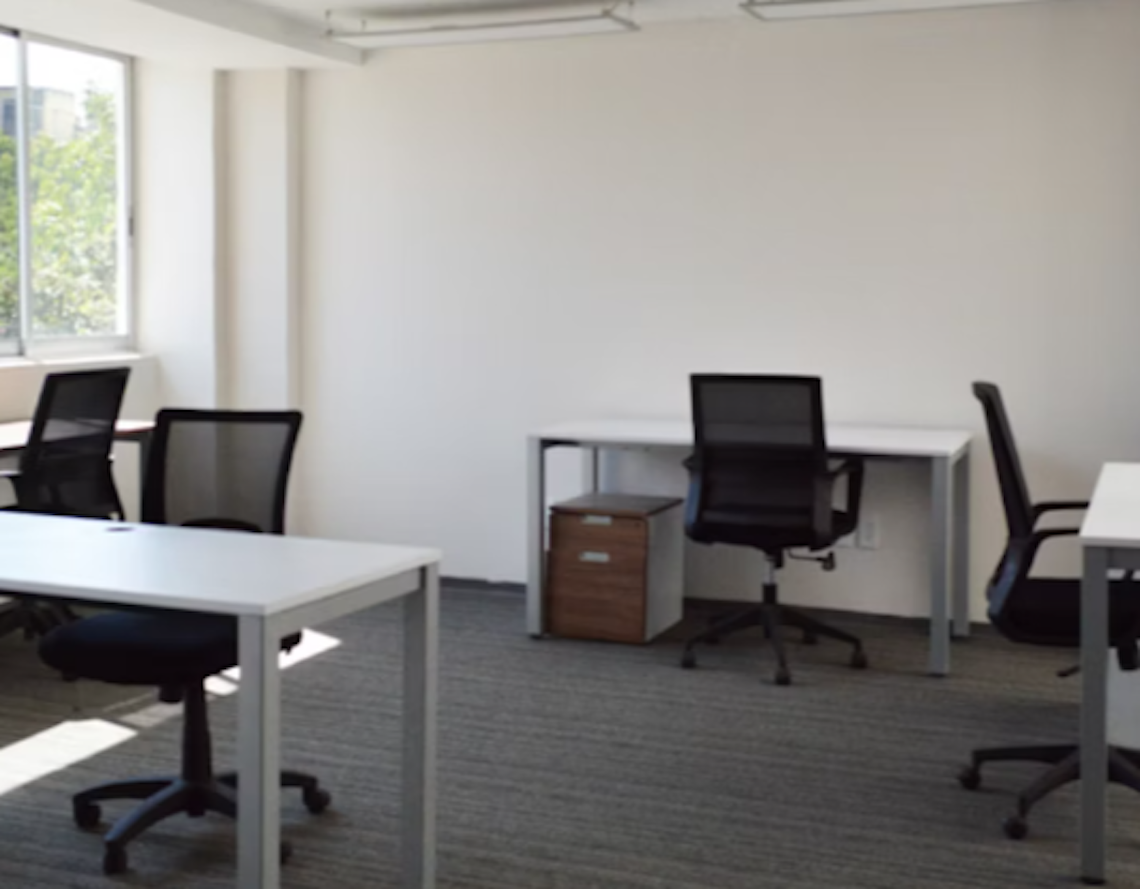 Spot image 0