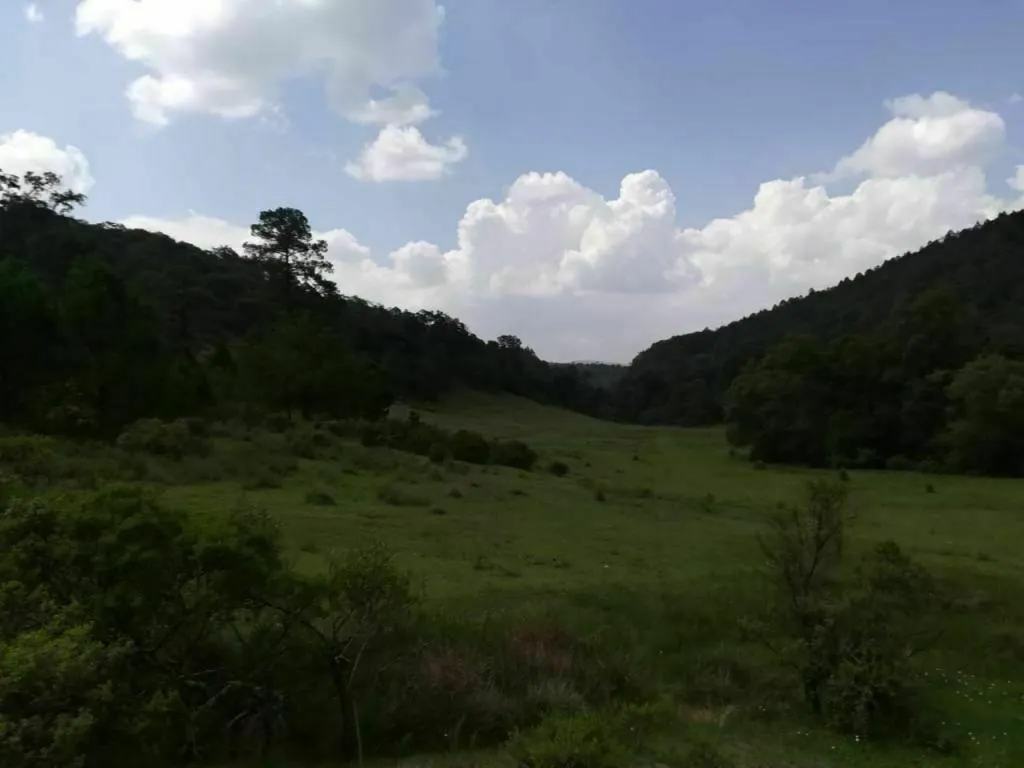 Terreno Spot2