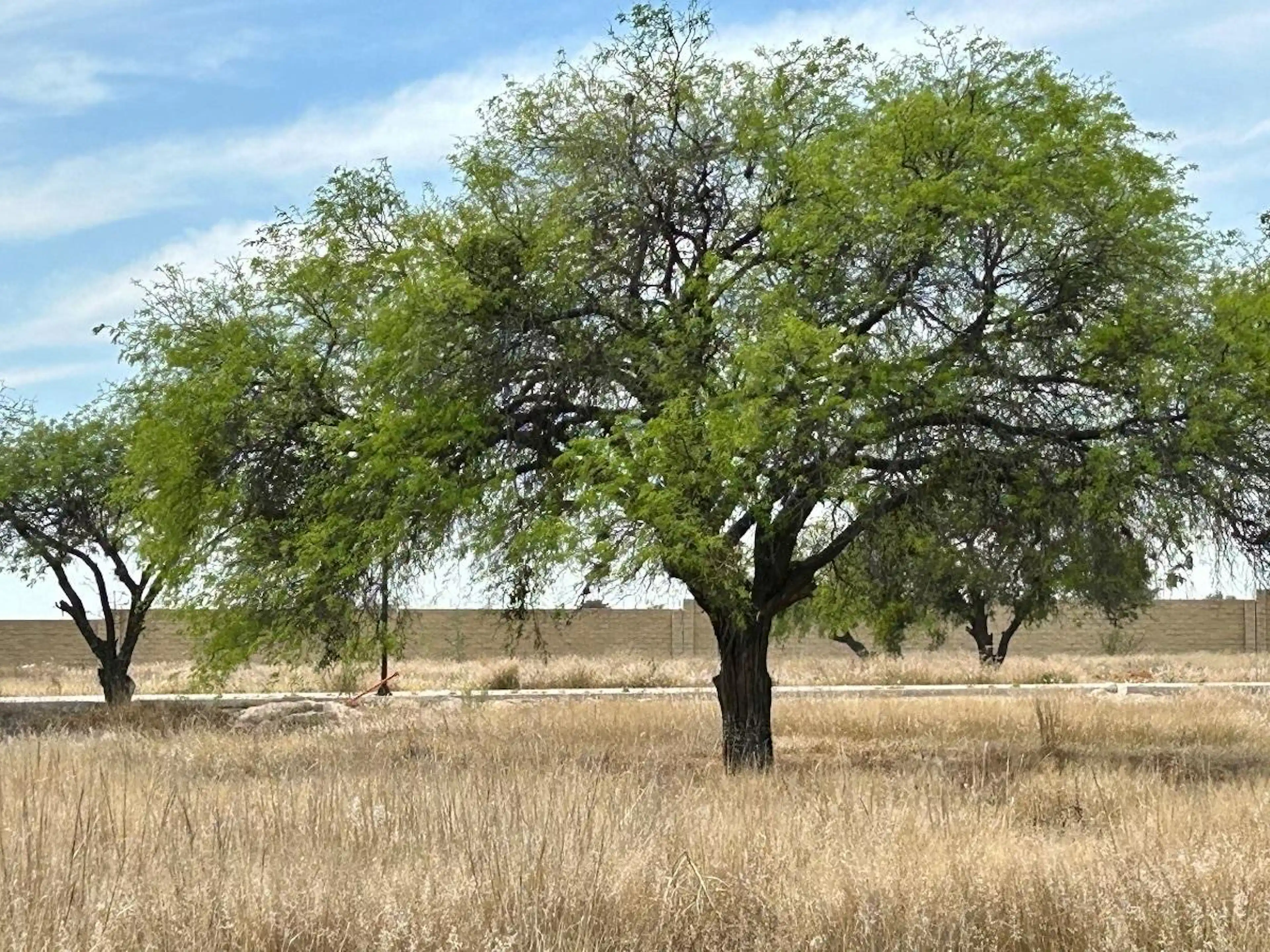 Terreno  Venta Fuentes Residencial Campanario Norte Querétaro