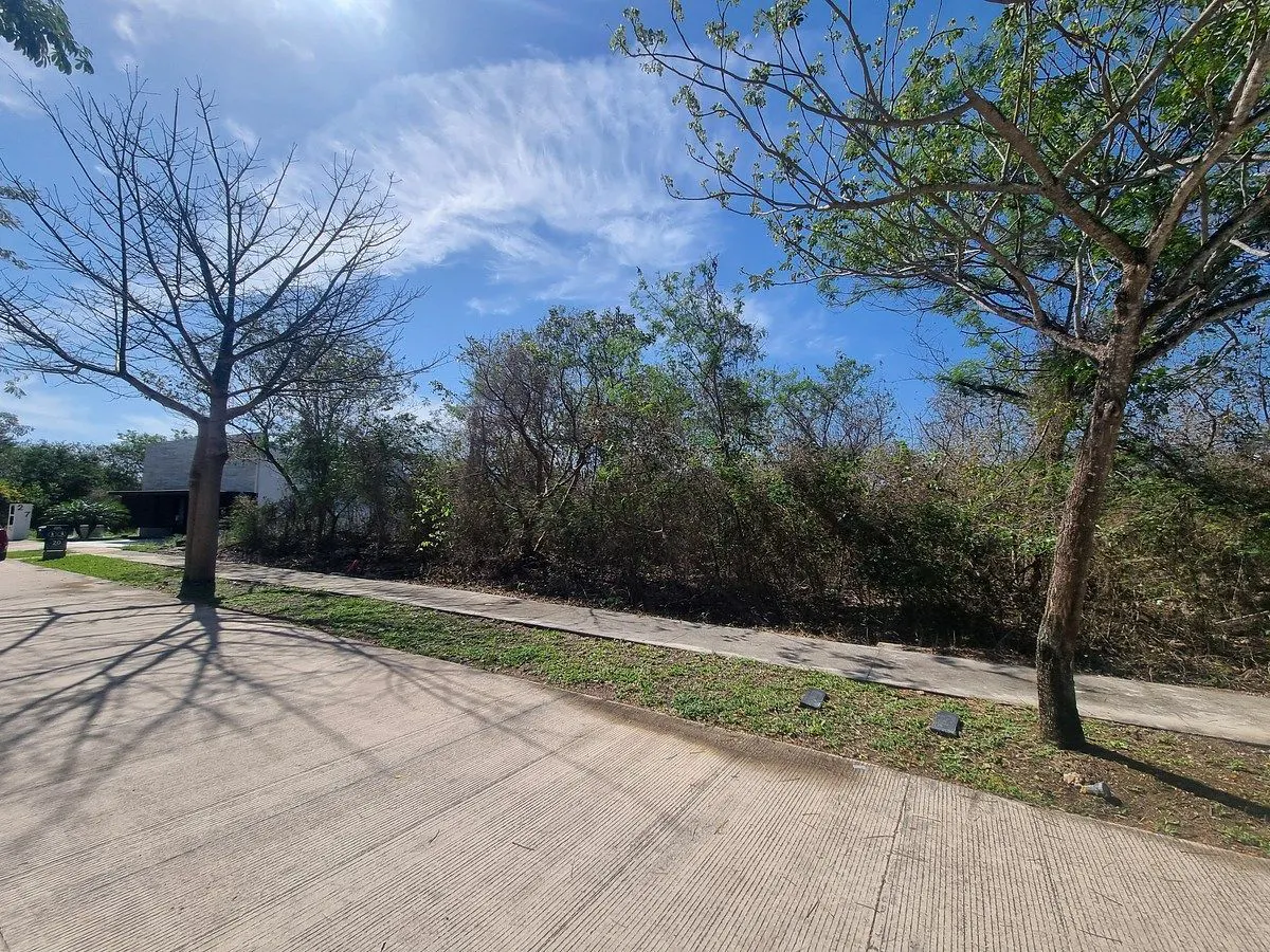 Terreno Spot2