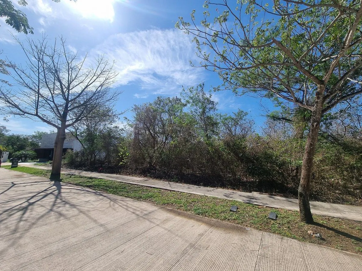 Terreno Spot2